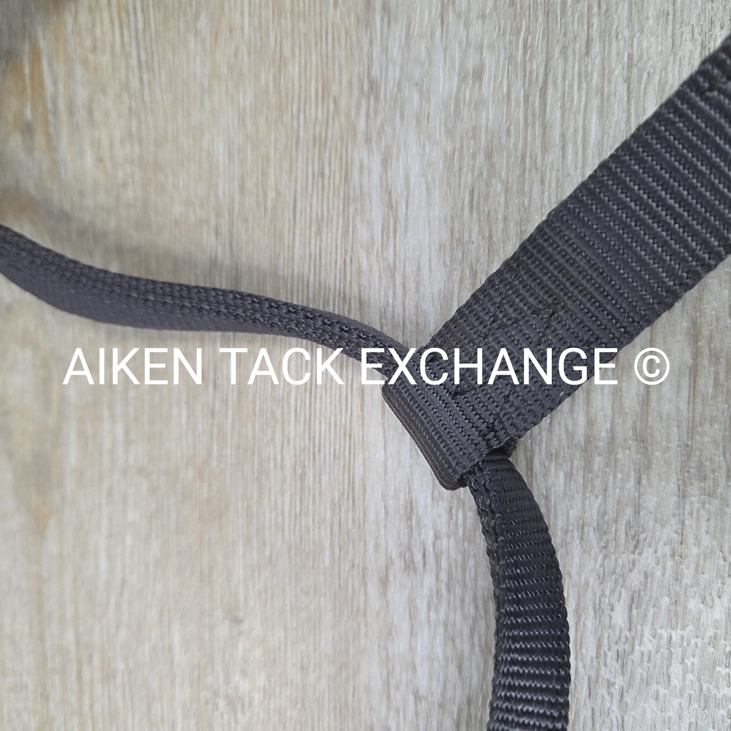 Nylon Halter, Size Medium
