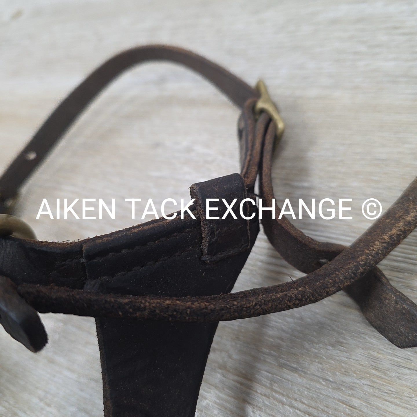 BARGAIN BUNDLE: 2 Leather Foal Halters