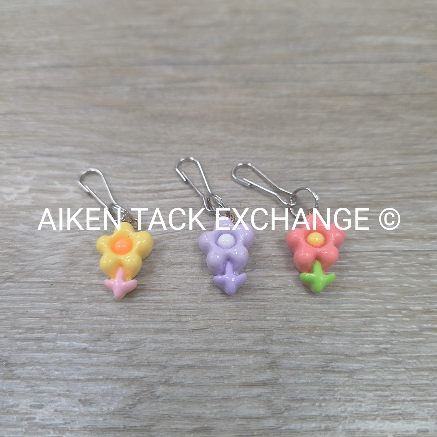 Bridle Charms, Set of 3