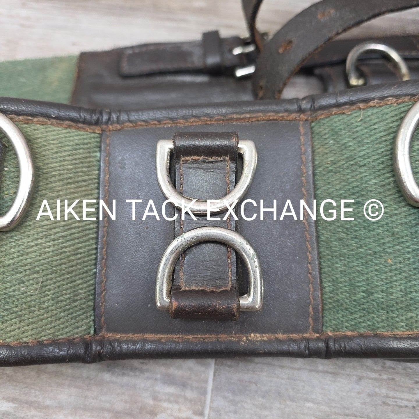 Dover Saddlery Classic Web Lunging Surcingle