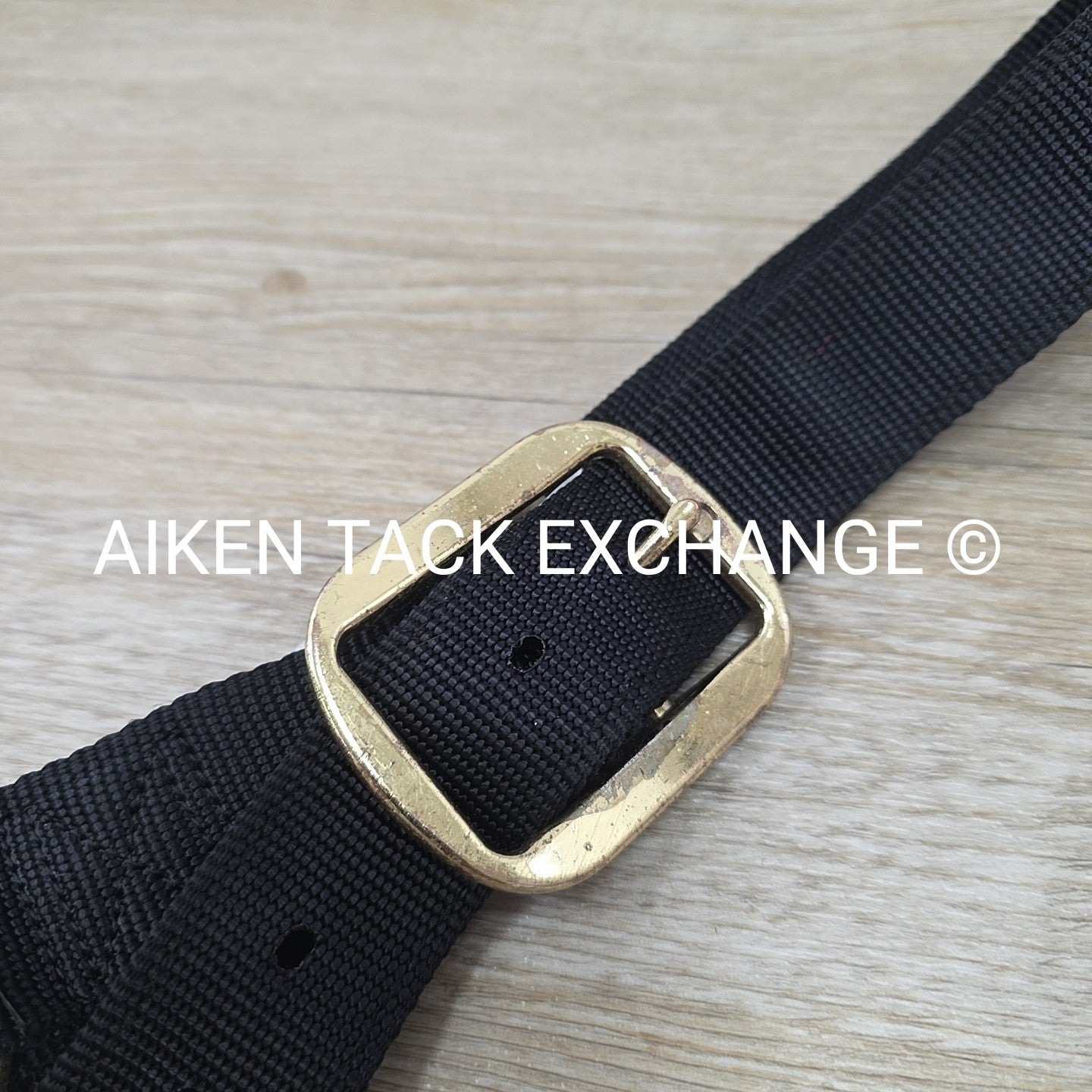 Weaver Leather Halter, Draft