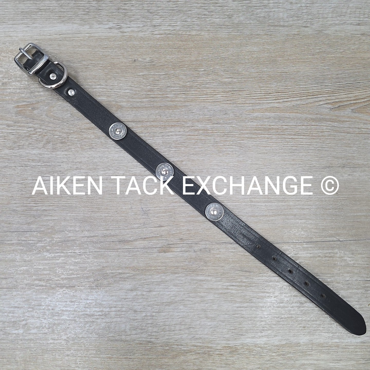 Leather Remington Dog Collar, 15" - 19"