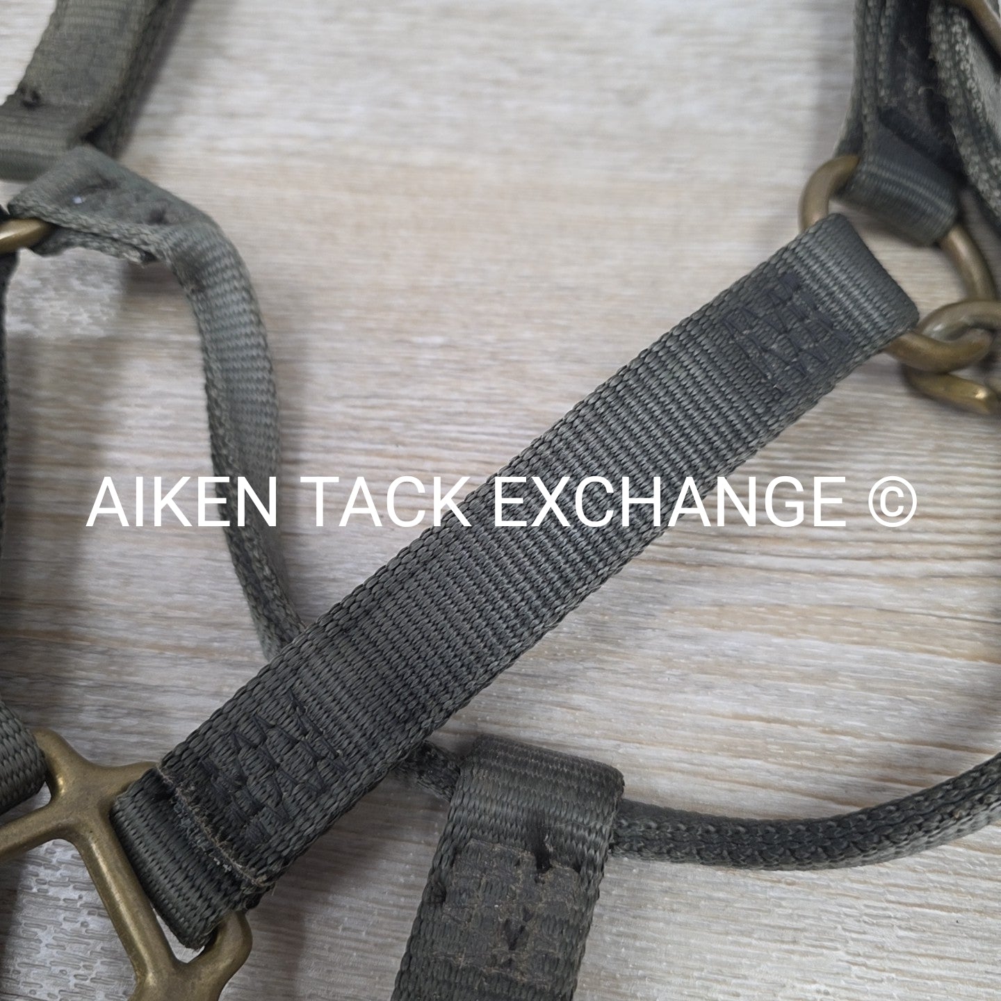 Walsh Nylon Halter, Size Cob