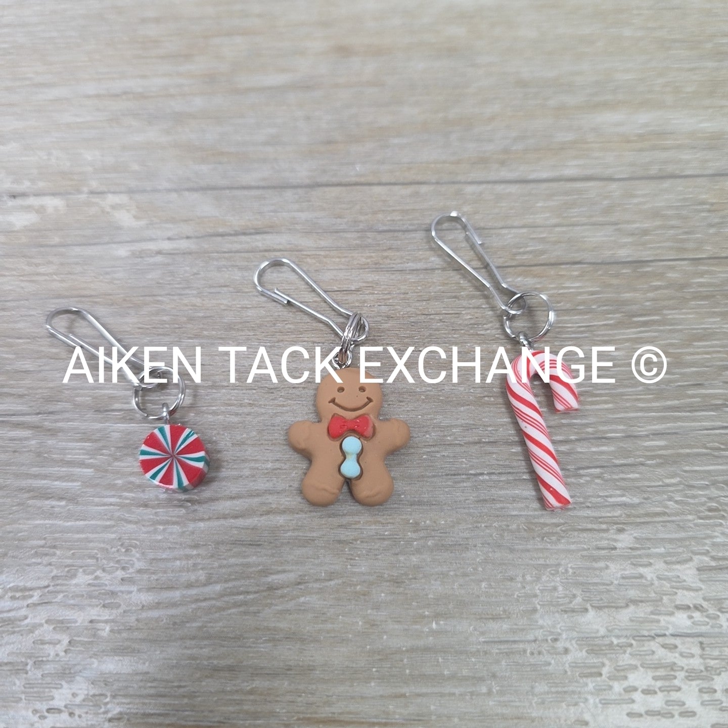 Bridle Charms, Set of 3
