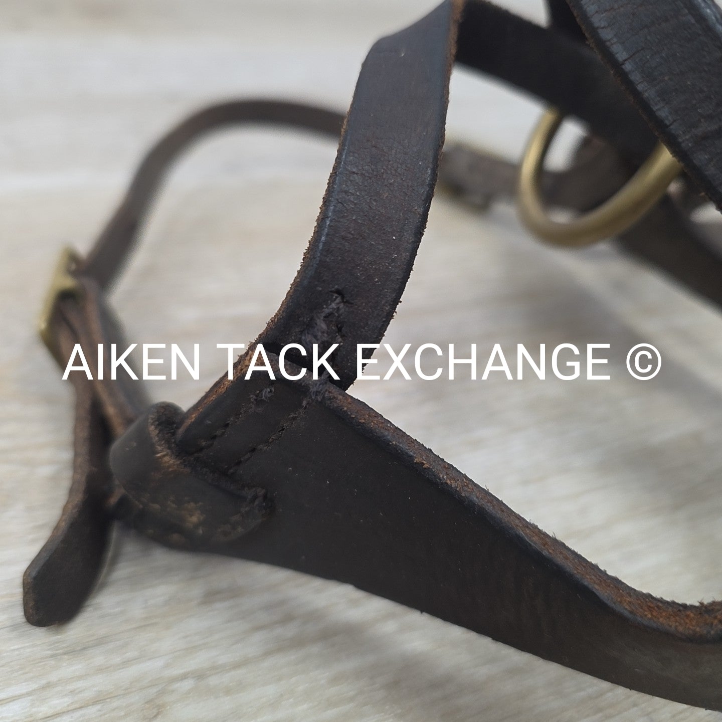 BARGAIN BUNDLE: 2 Leather Foal Halters