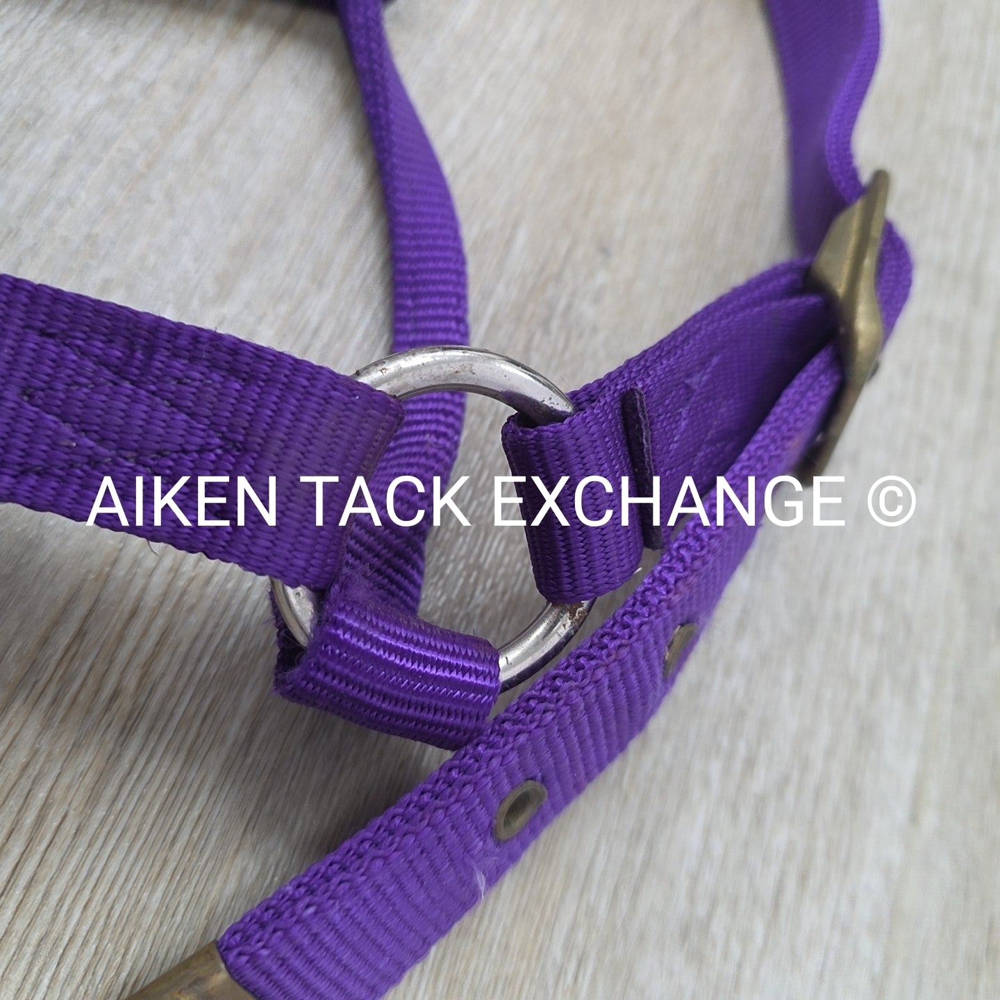 BARGAIN BUNDLE: 2 Nylon Halters, Size Full