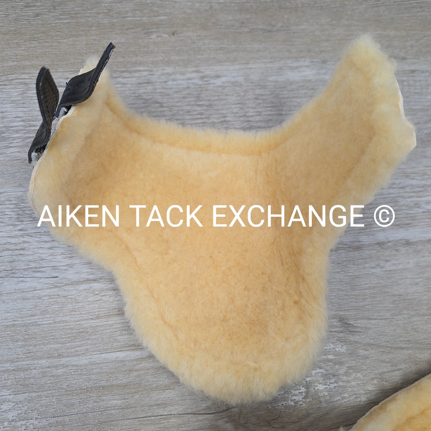 Courbette Laz Anliker Gygax Leather/Sheepskin Fetlock Boots, 2