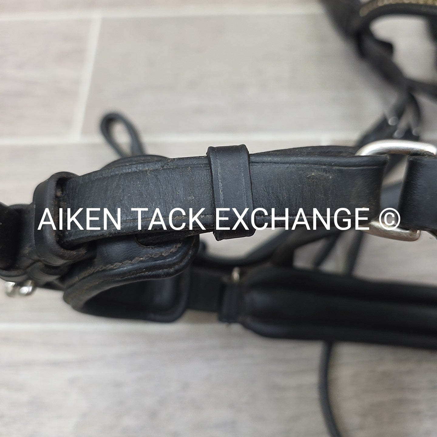 Passier & Sohn Fortuna Bridle, No Reins, Missing Flash Strap, Black, Size Full