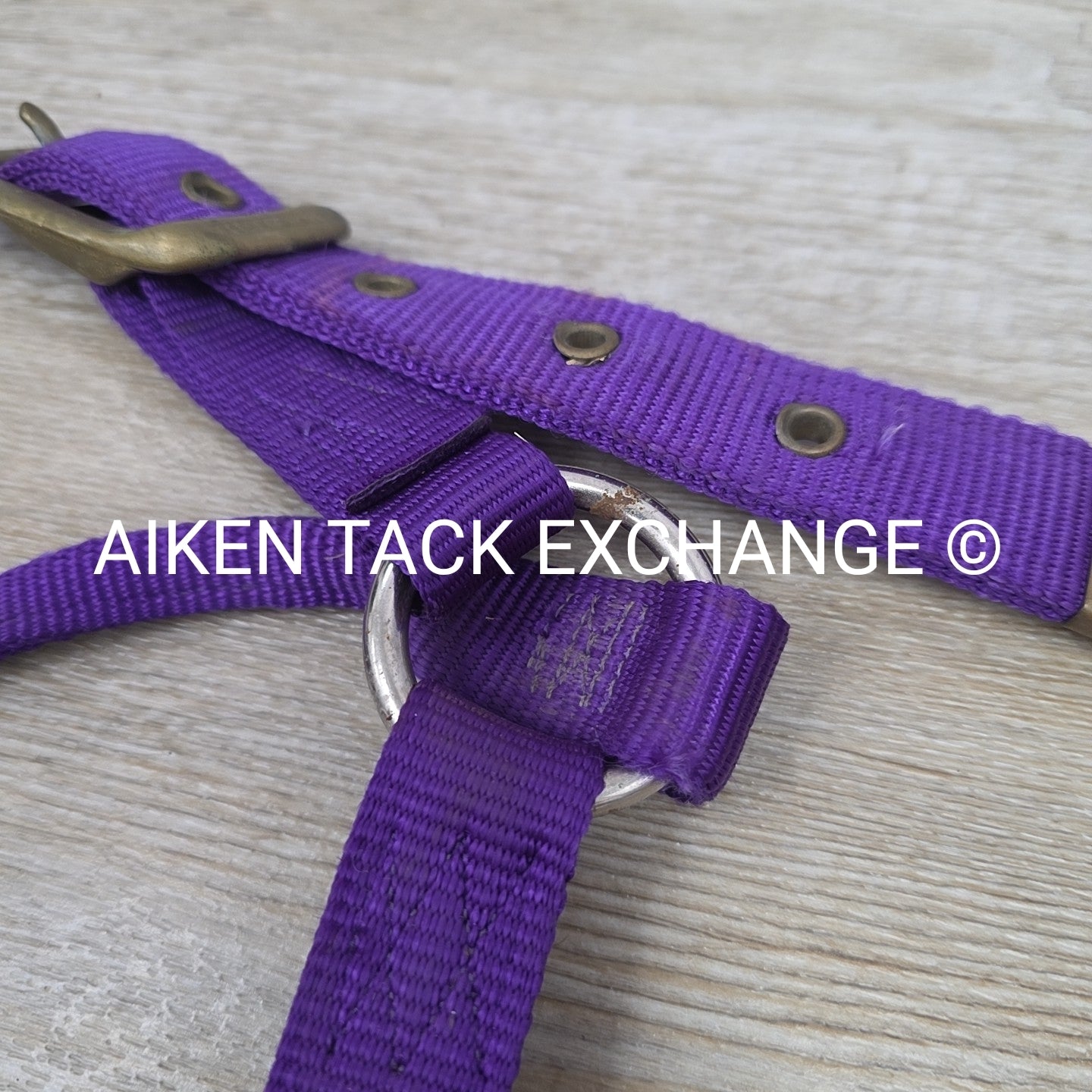 BARGAIN BUNDLE: 2 Nylon Halters, Size Full