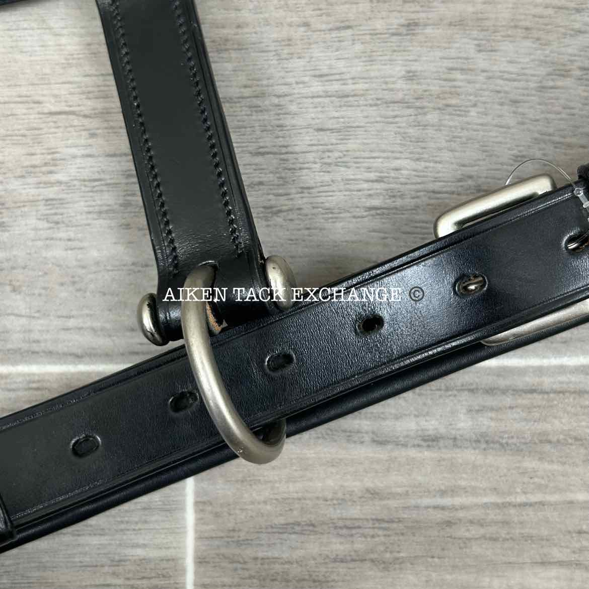 KL Select Red Barn Padded Leather Halter, Black/Nickel, Size Full