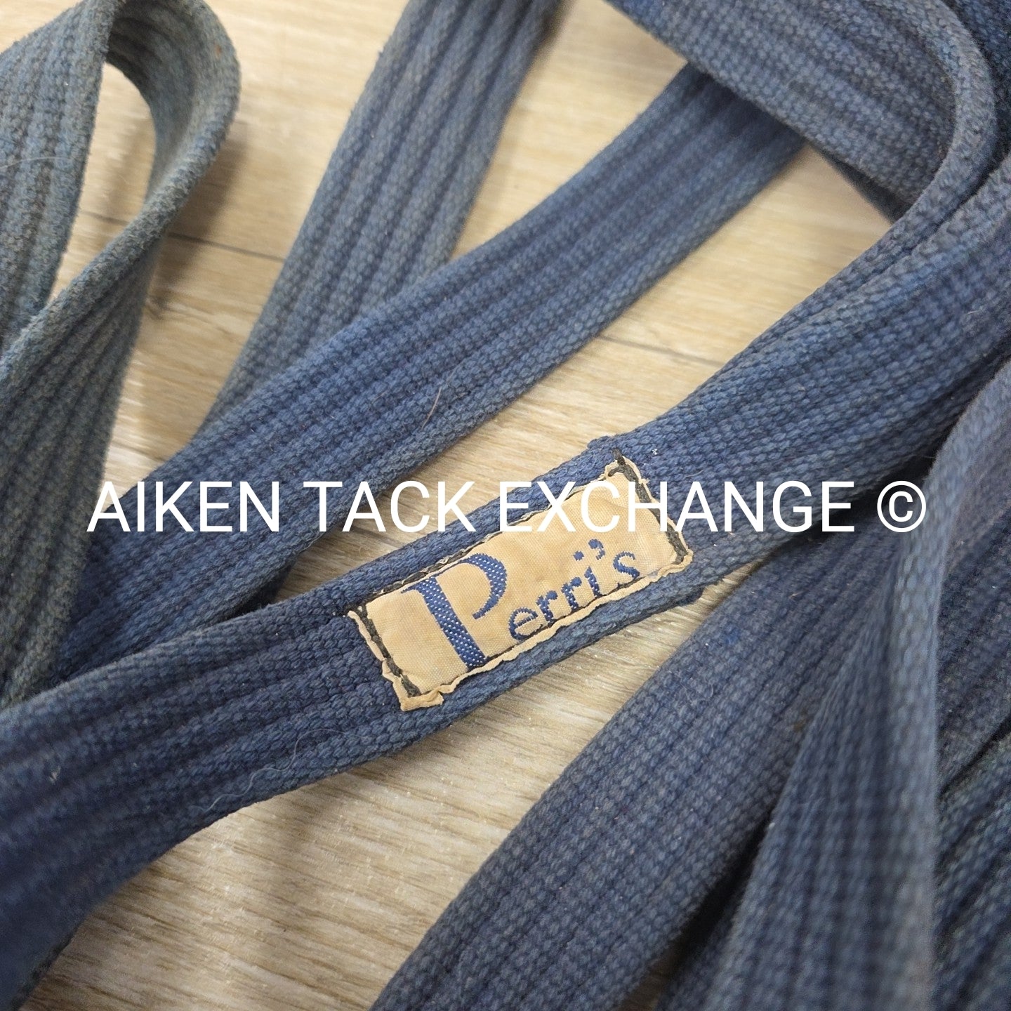 BARGAIN BUNDLE: Cotton Web Lunge Line with Chain & Leather Lead with Chain