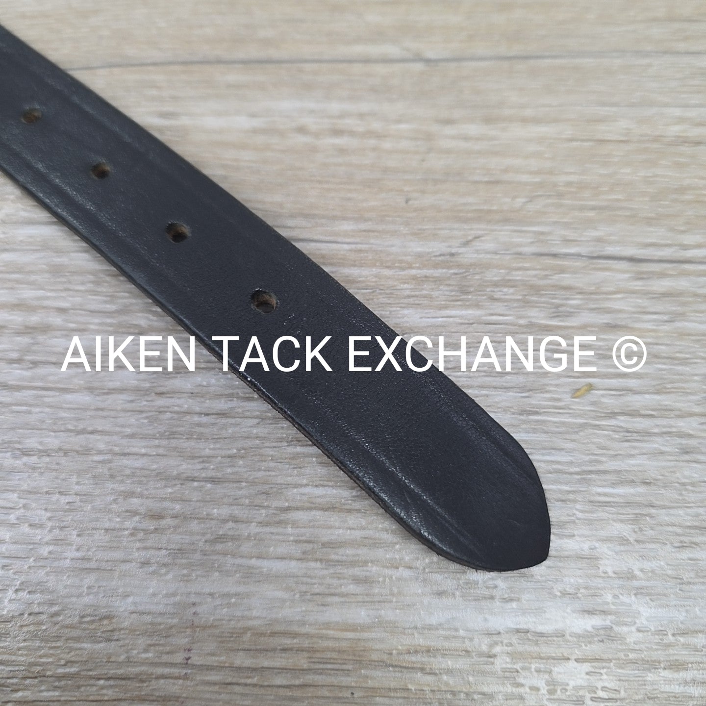 Leather Remington Dog Collar, 15" - 19"
