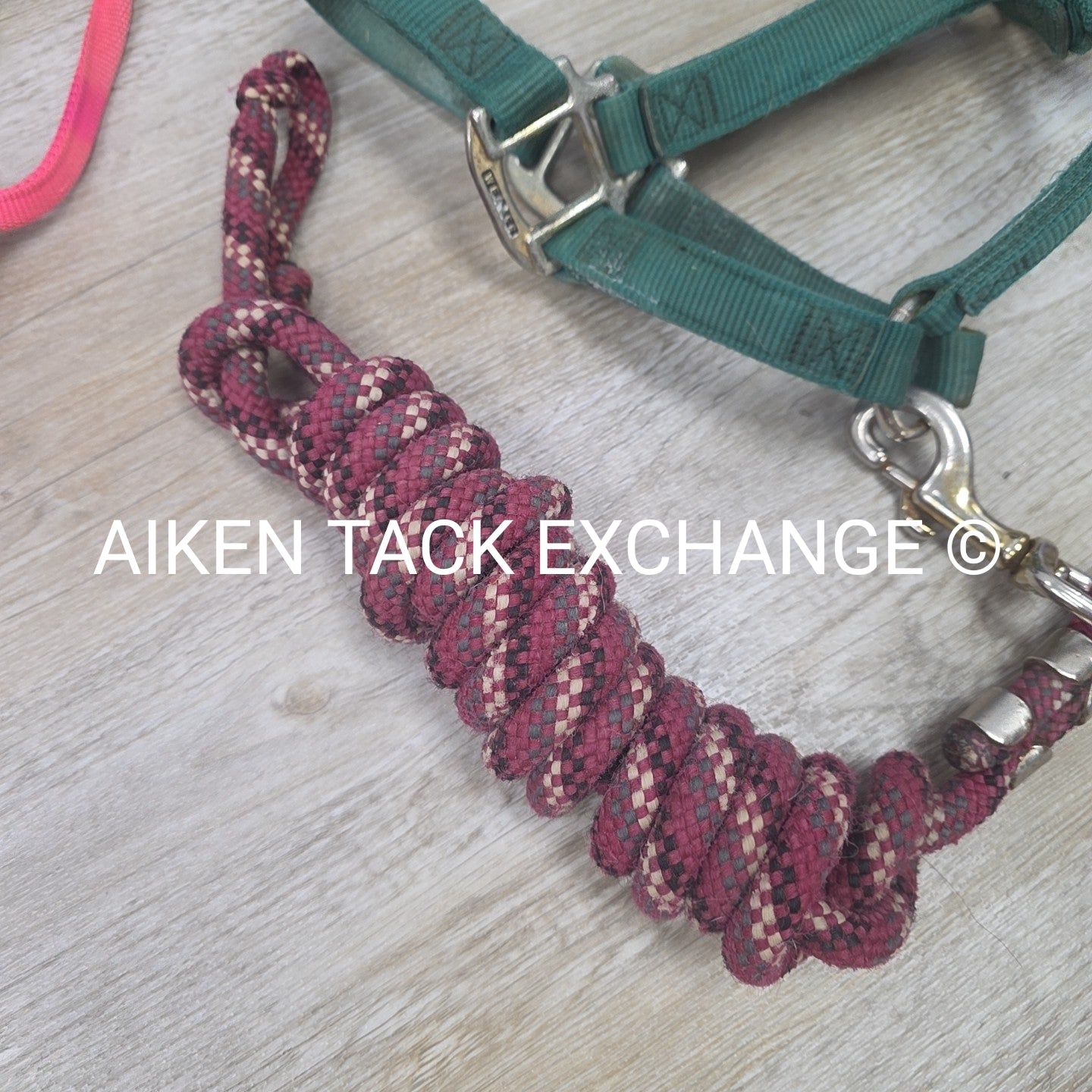 BARGAIN BUNDLE: 2 Nylon Halters & 2 Lead Ropes