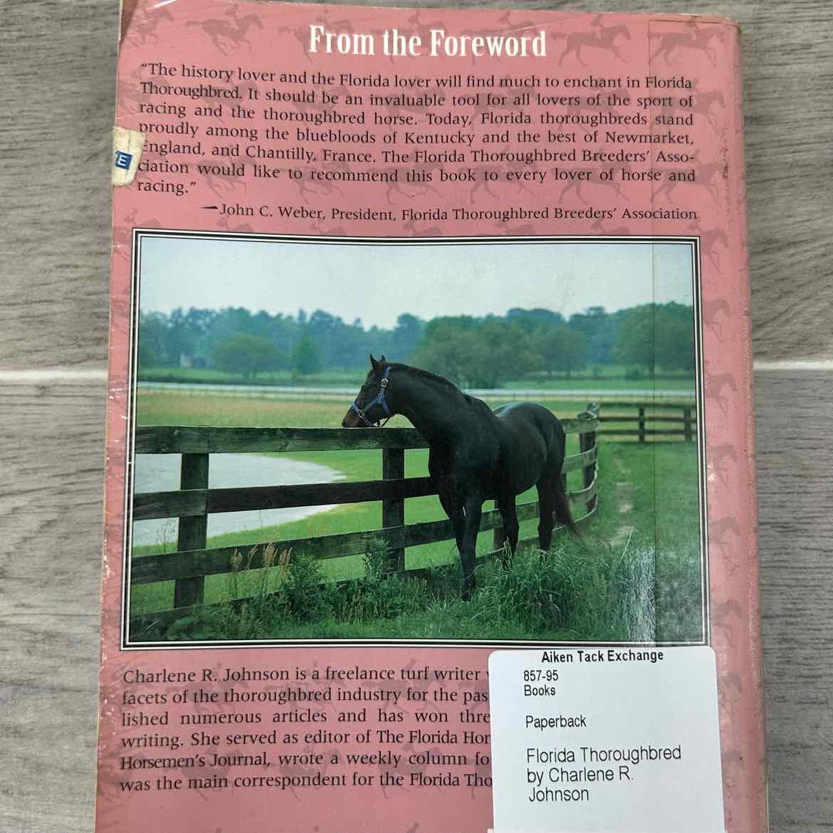 Florida Thoroughbred by Charlene R. Johnson