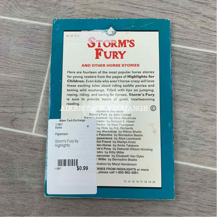 Storm's Fury by Highlights