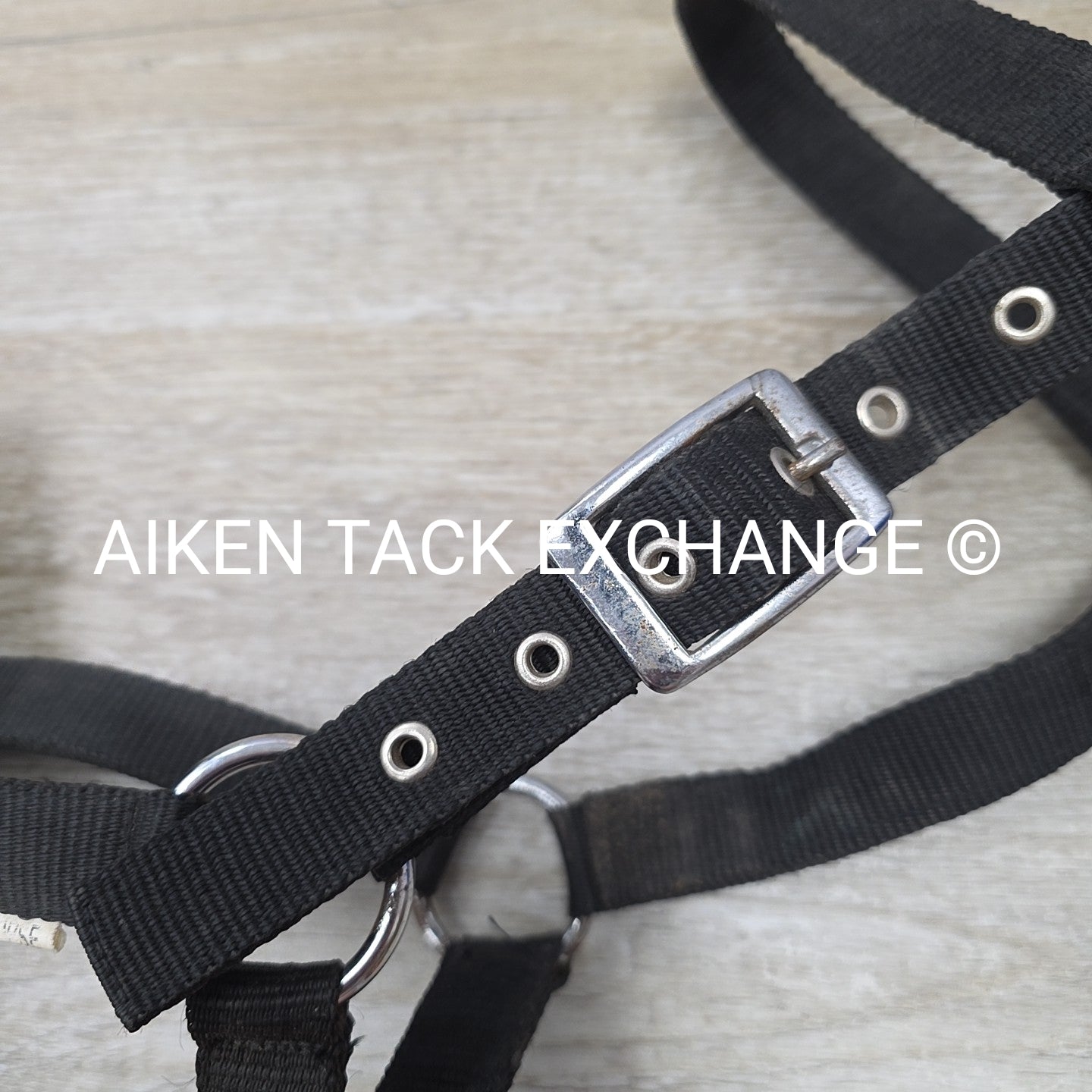 Nylon Lunging Cavesson, Size Full