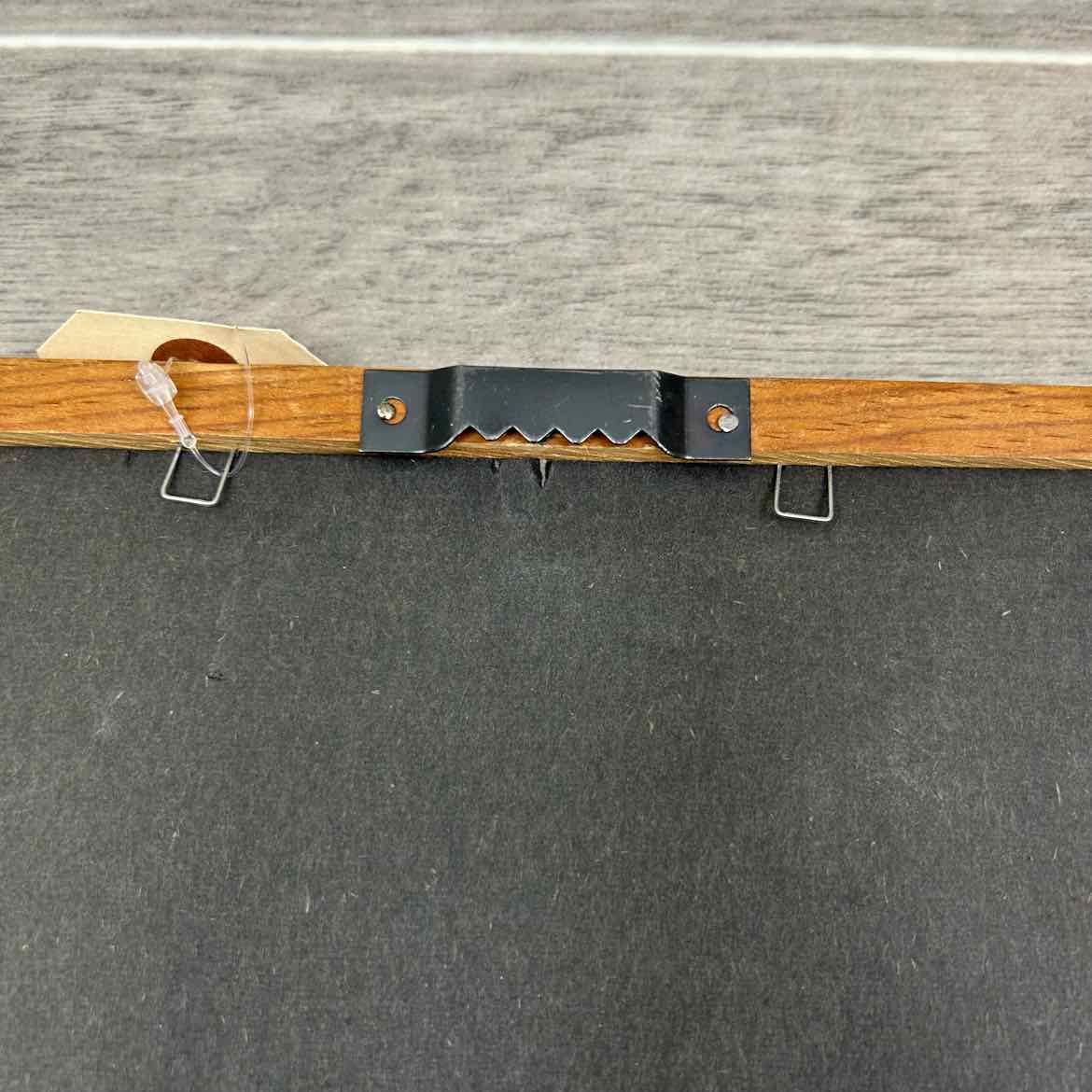 Framed Horse Photo 11" x 9"