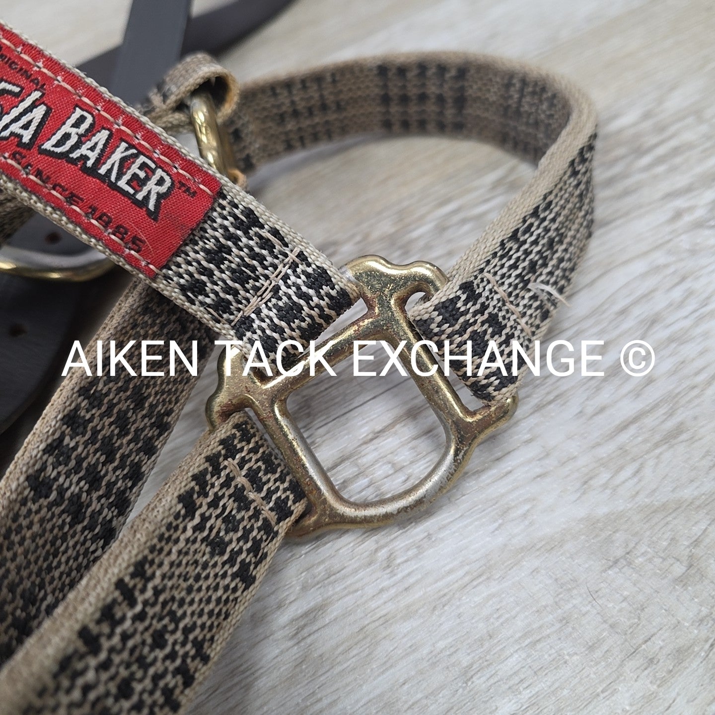 BARGAIN BUNDLE: 5/A Baker Halter & Lead with Chain, Size Pony