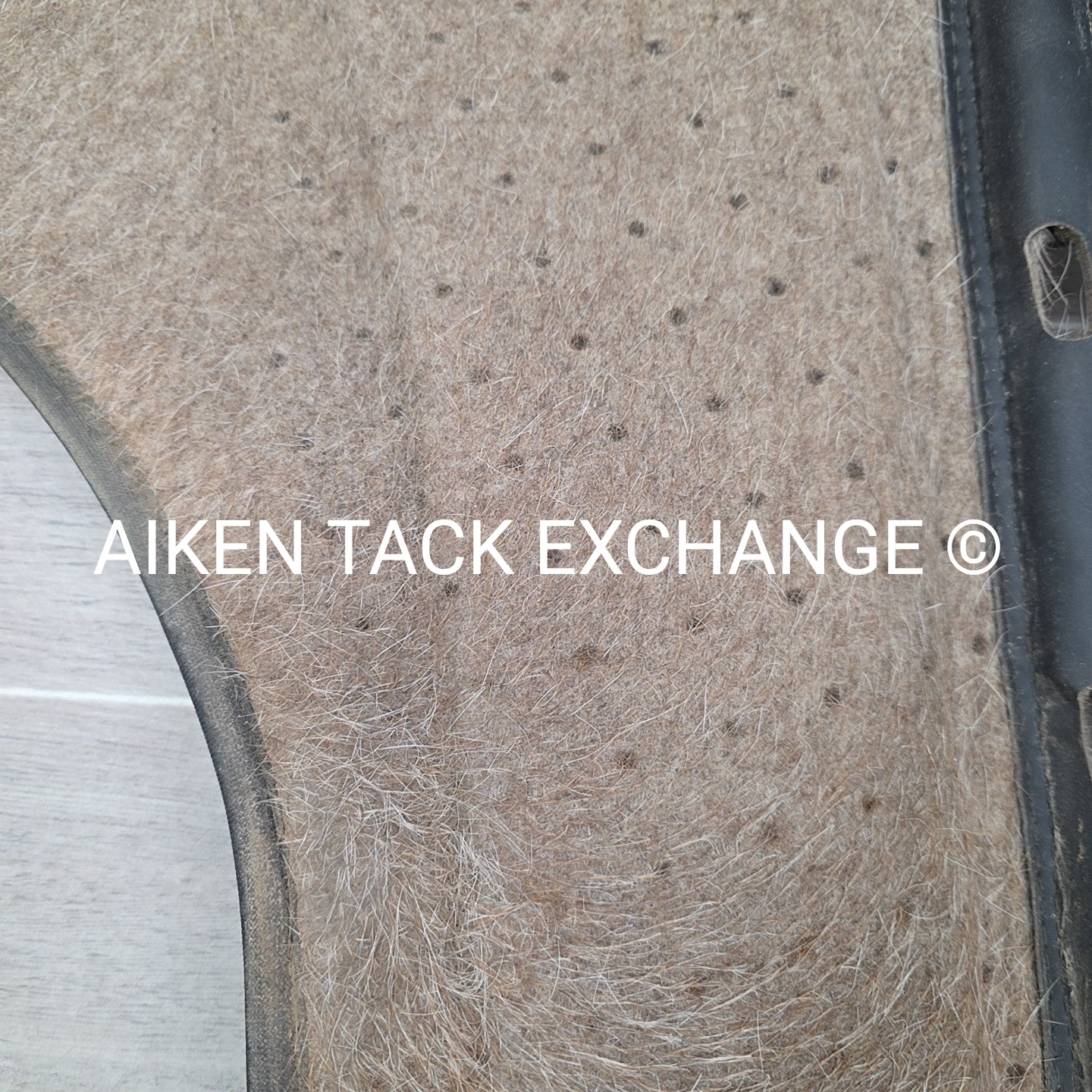 Tucker by Cavallo Saddle Pad