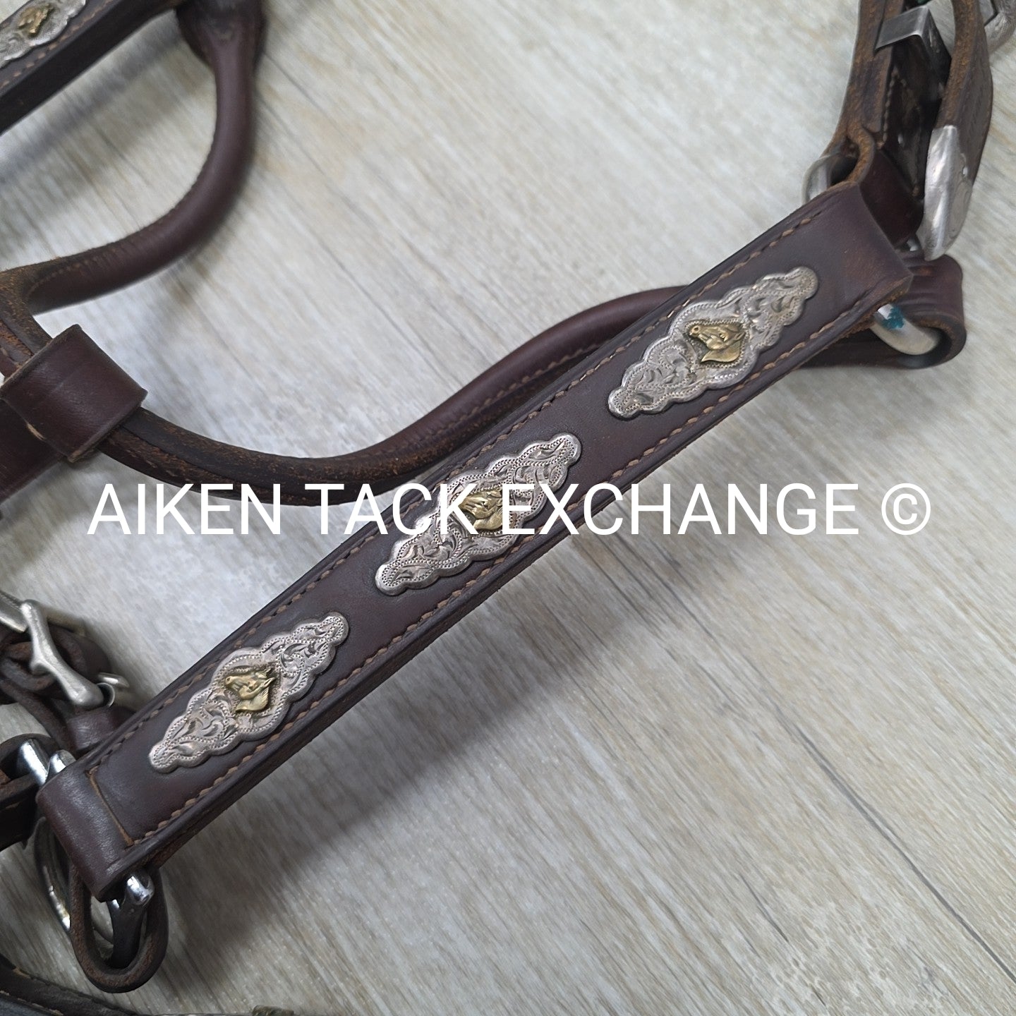 Victor Quality Westen Show Halter with Lead