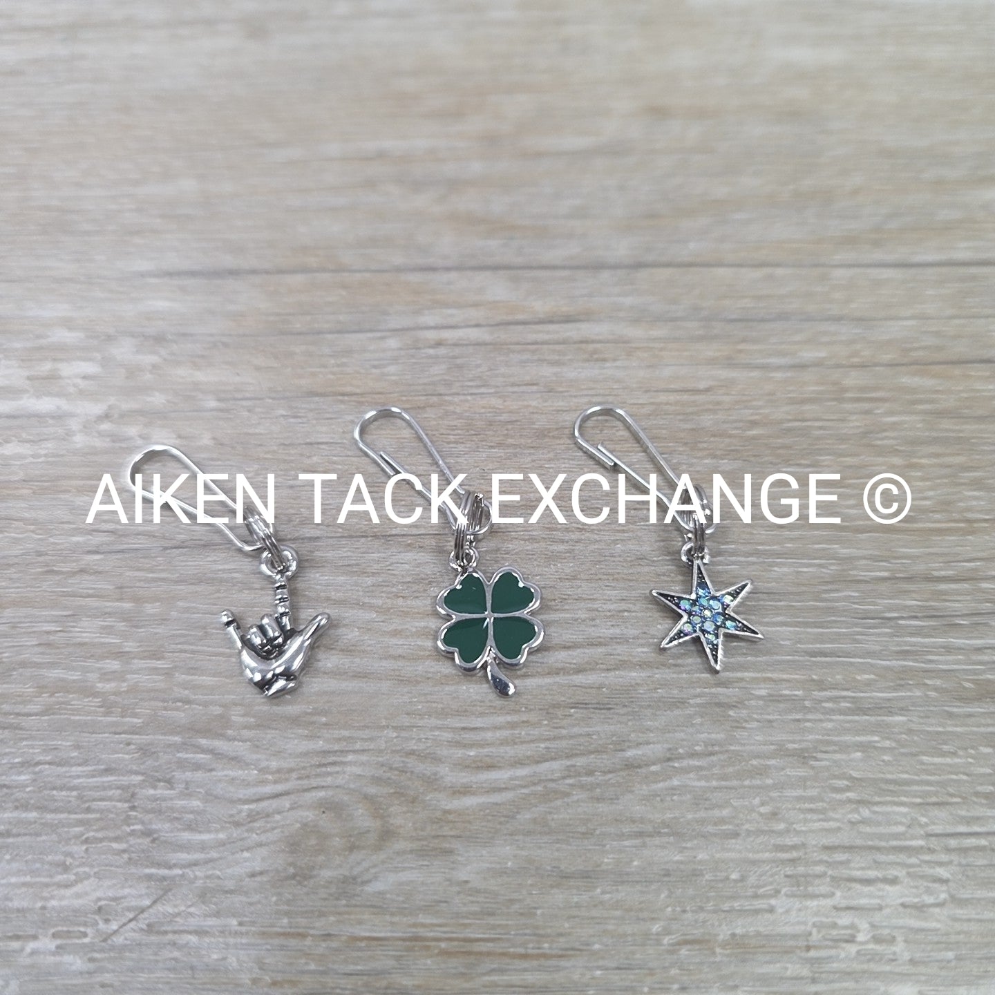 Bridle Charms, Set of 3