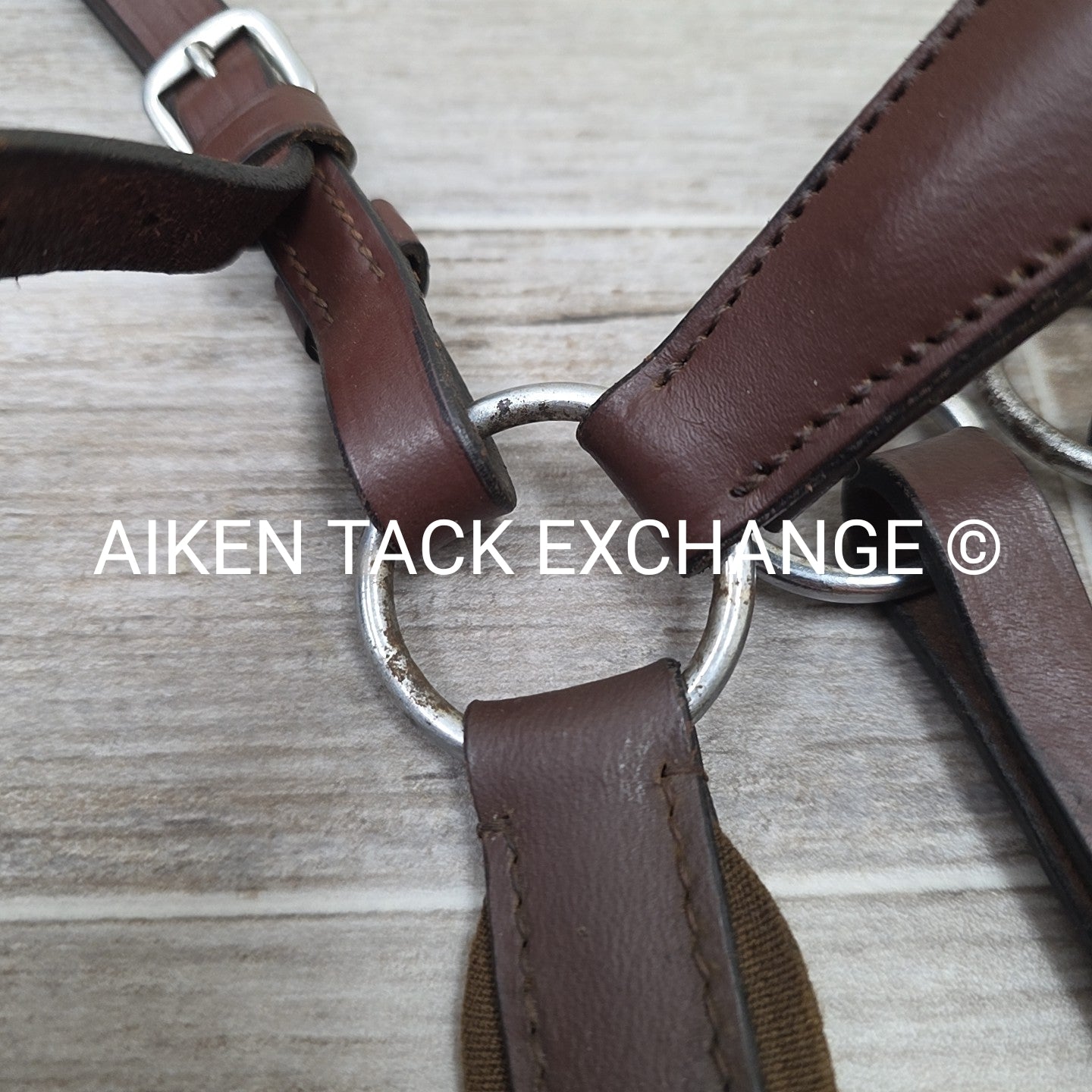 5 Point Breastplate with Running Martingale Attachment, Brown, Size Full