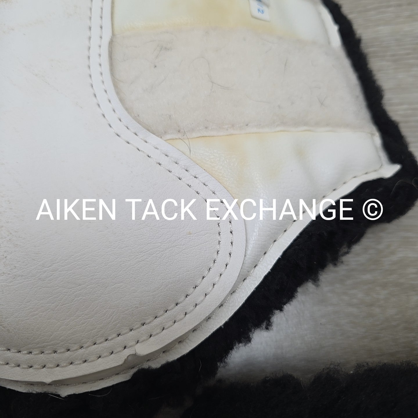 DSB Dressage Sport Boots Original, White/Black, Size Medium