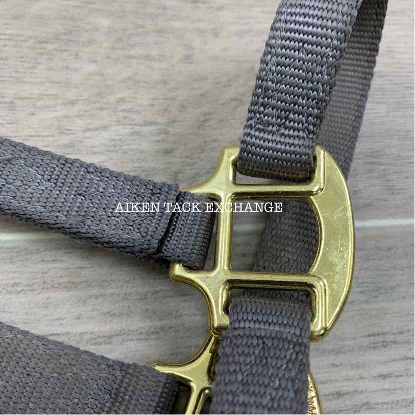 Nylon Halter, Size Colt