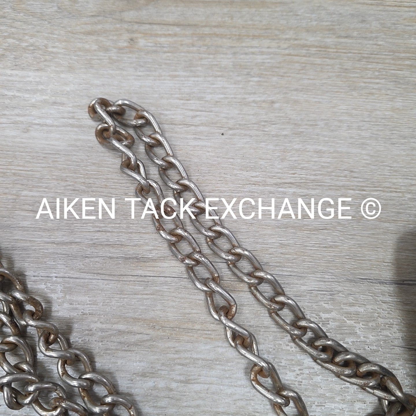 BARGAIN BUNDLE: Cotton Web Lunge Line with Chain & Leather Lead with Chain