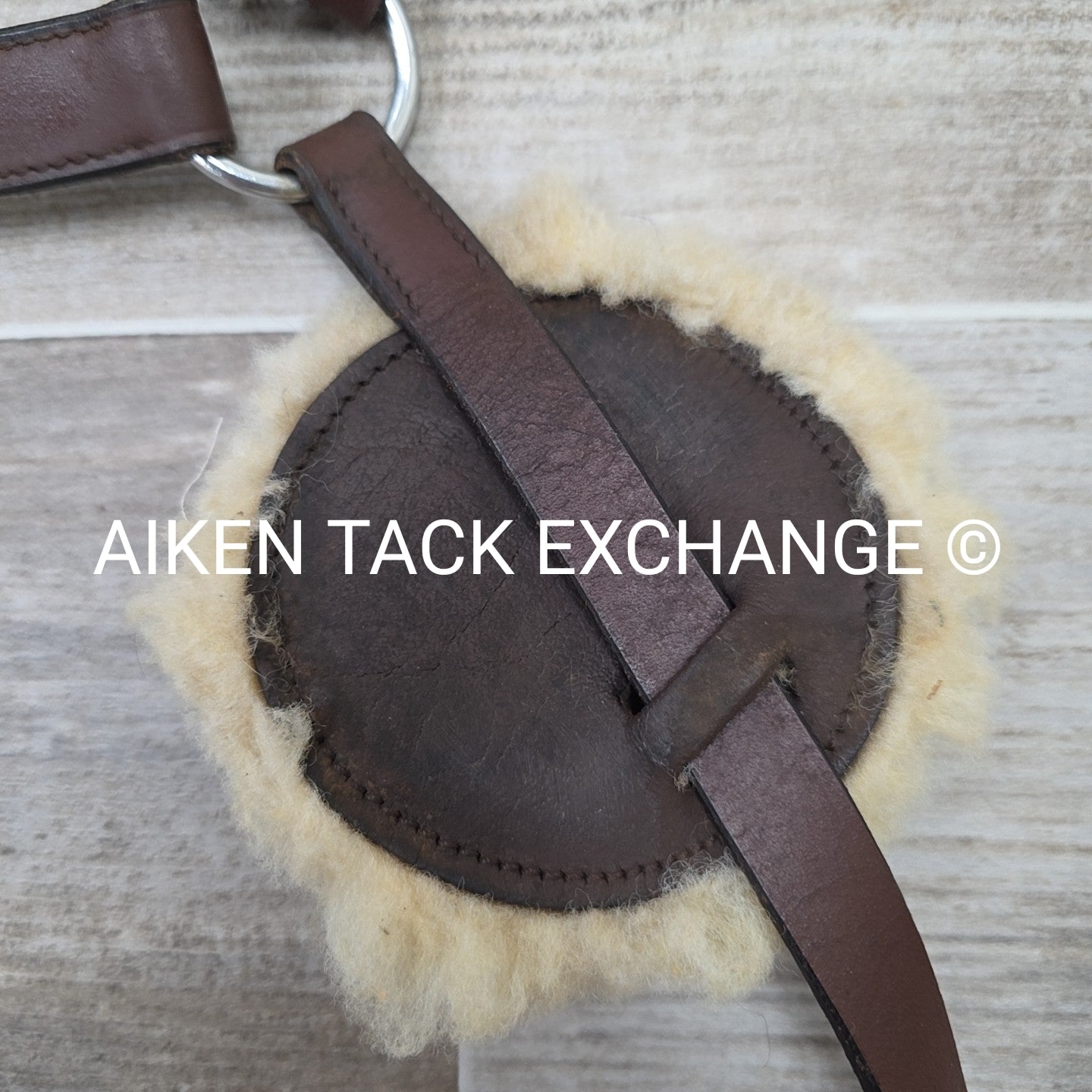 5 Point Breastplate with Running Martingale Attachment, Brown, Size Full