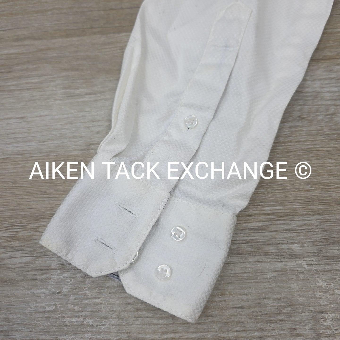 Allon Equestrian Show Shirt, Women's 34
