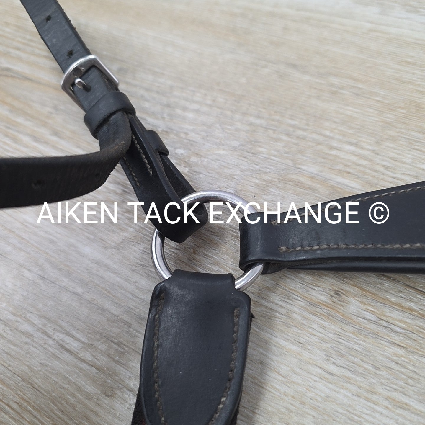 HDR 5 Point Elastic Breastplate, Black, Size Full