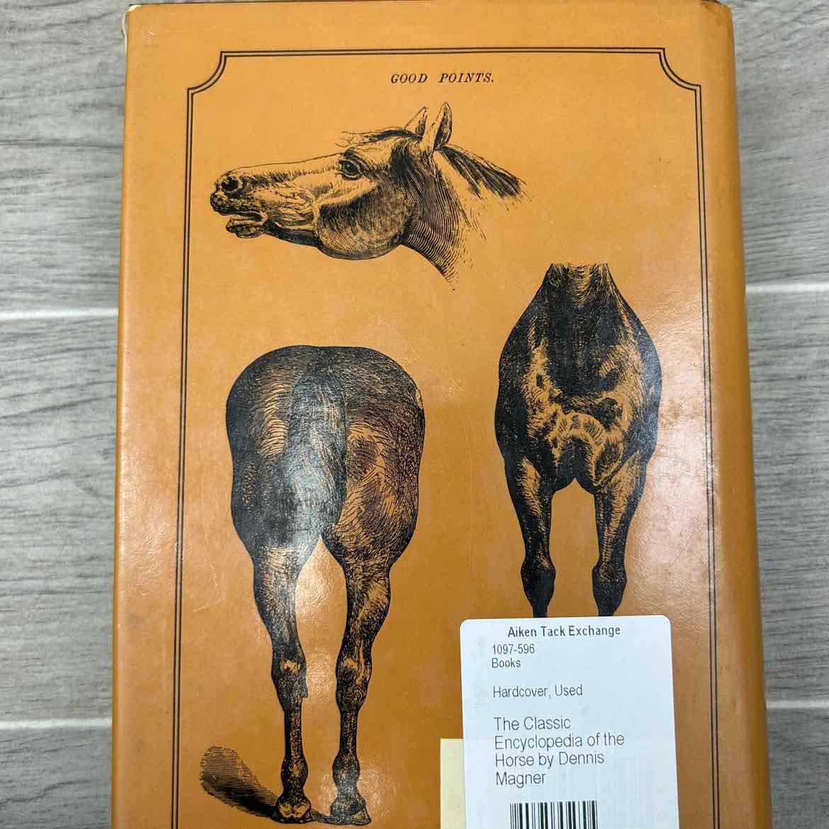 The Classic Encyclopedia of the Horse by Dennis Magner