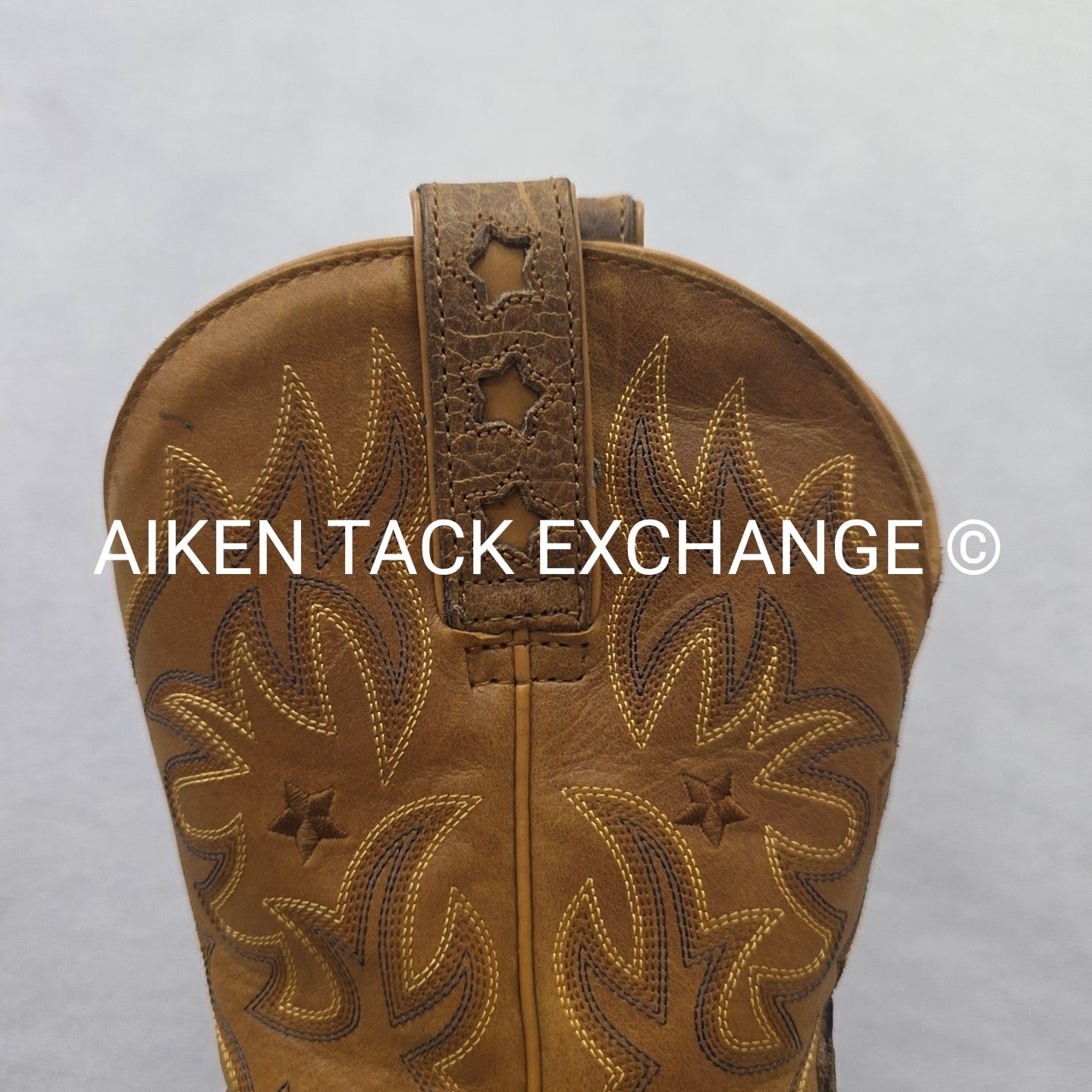 Ariat ProBaby Scotch Oiled Rowdy Boots, Women's 6