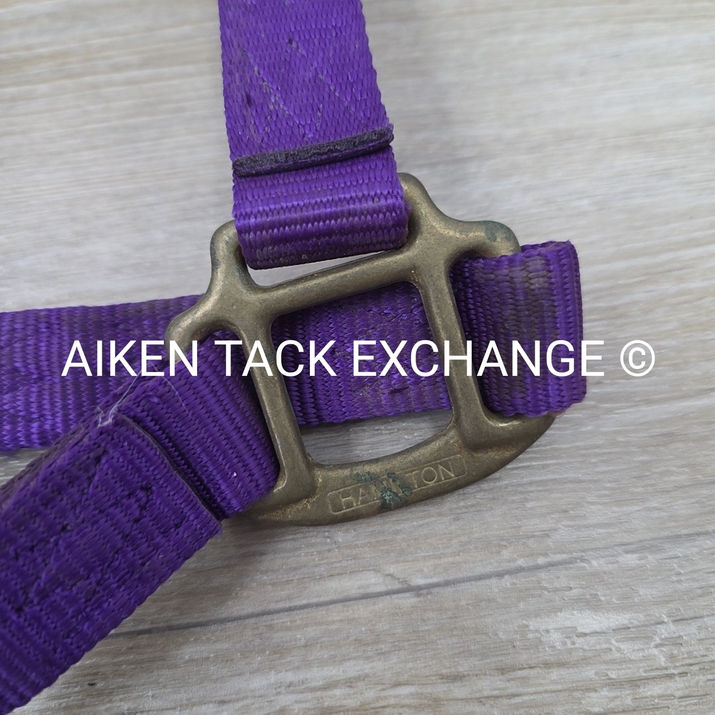 BARGAIN BUNDLE: 2 Nylon Halters, Size Full