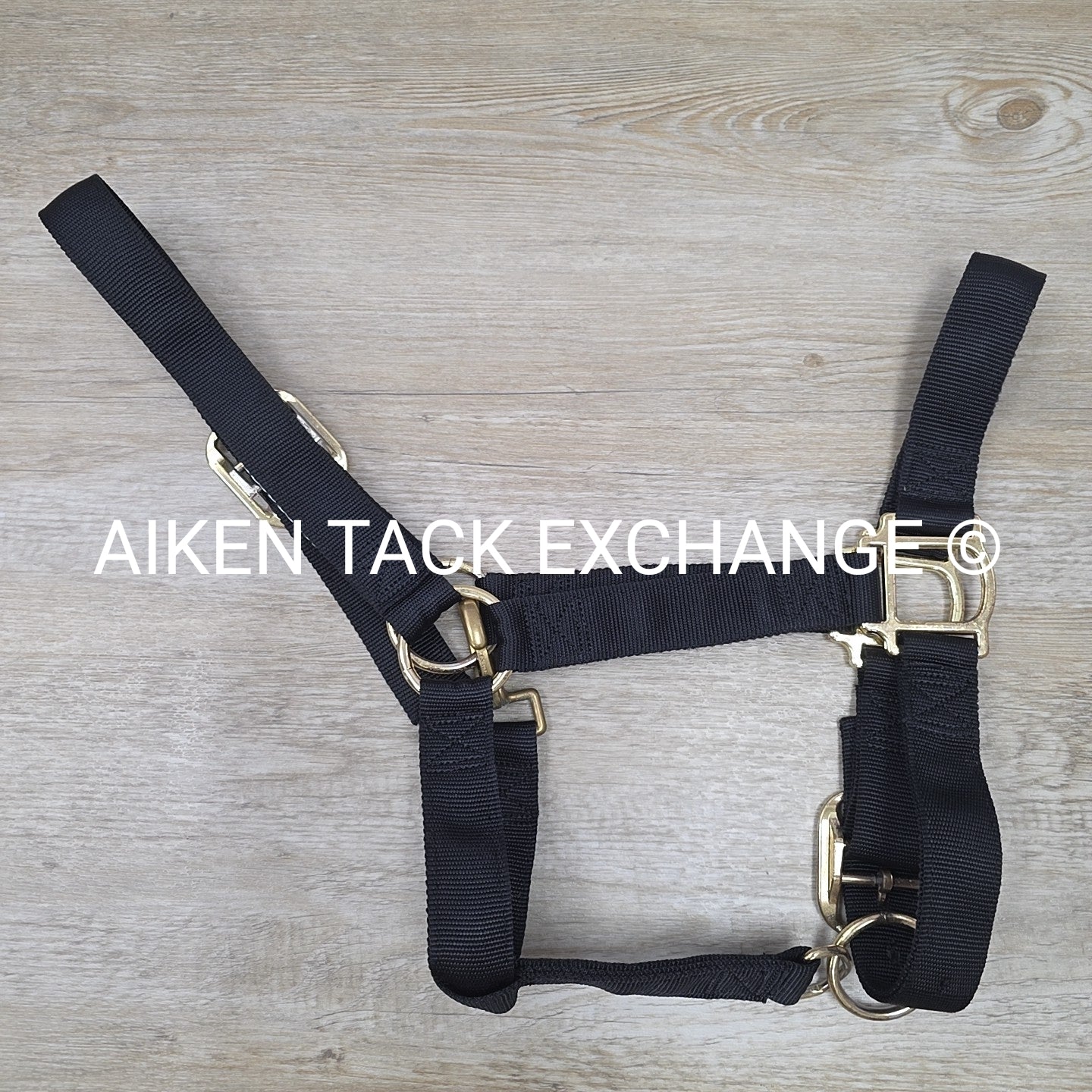 Weaver Leather Halter, Draft