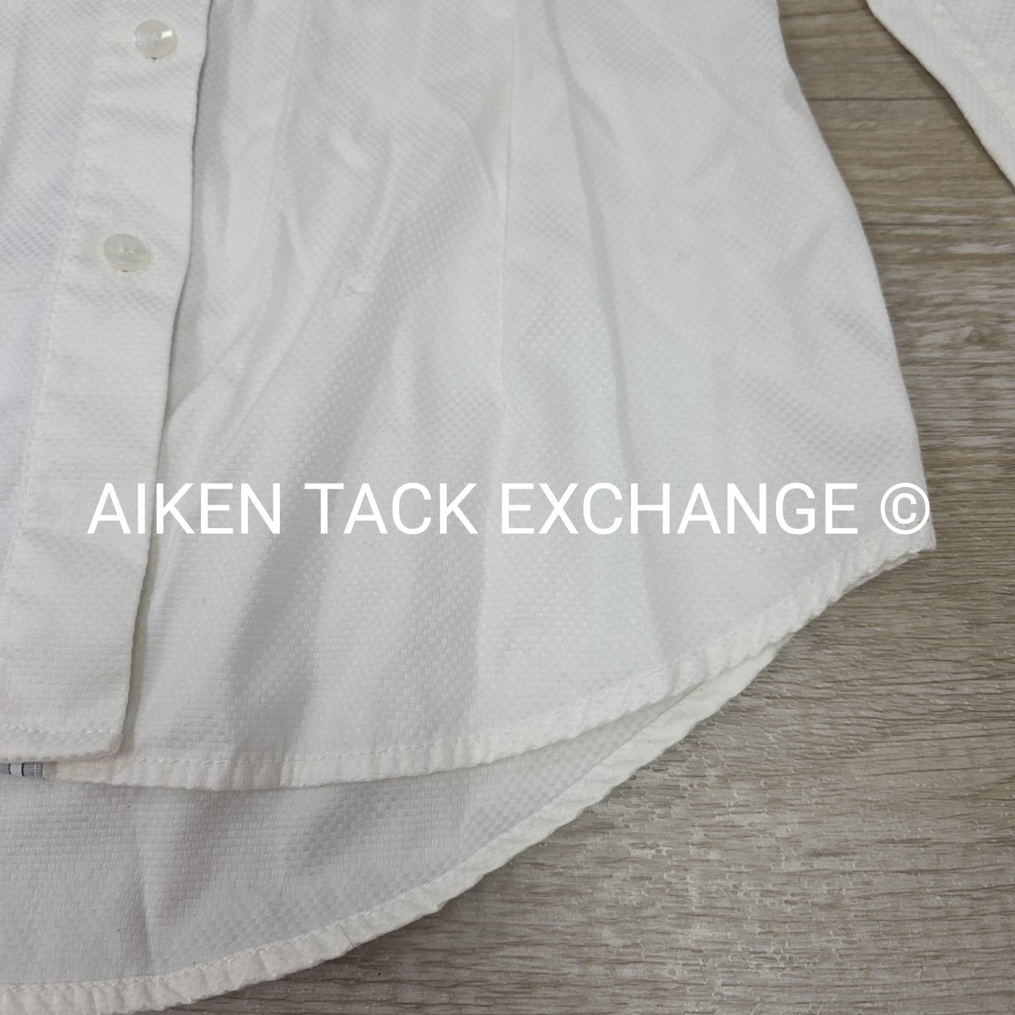 Allon Equestrian Show Shirt, Women's 34