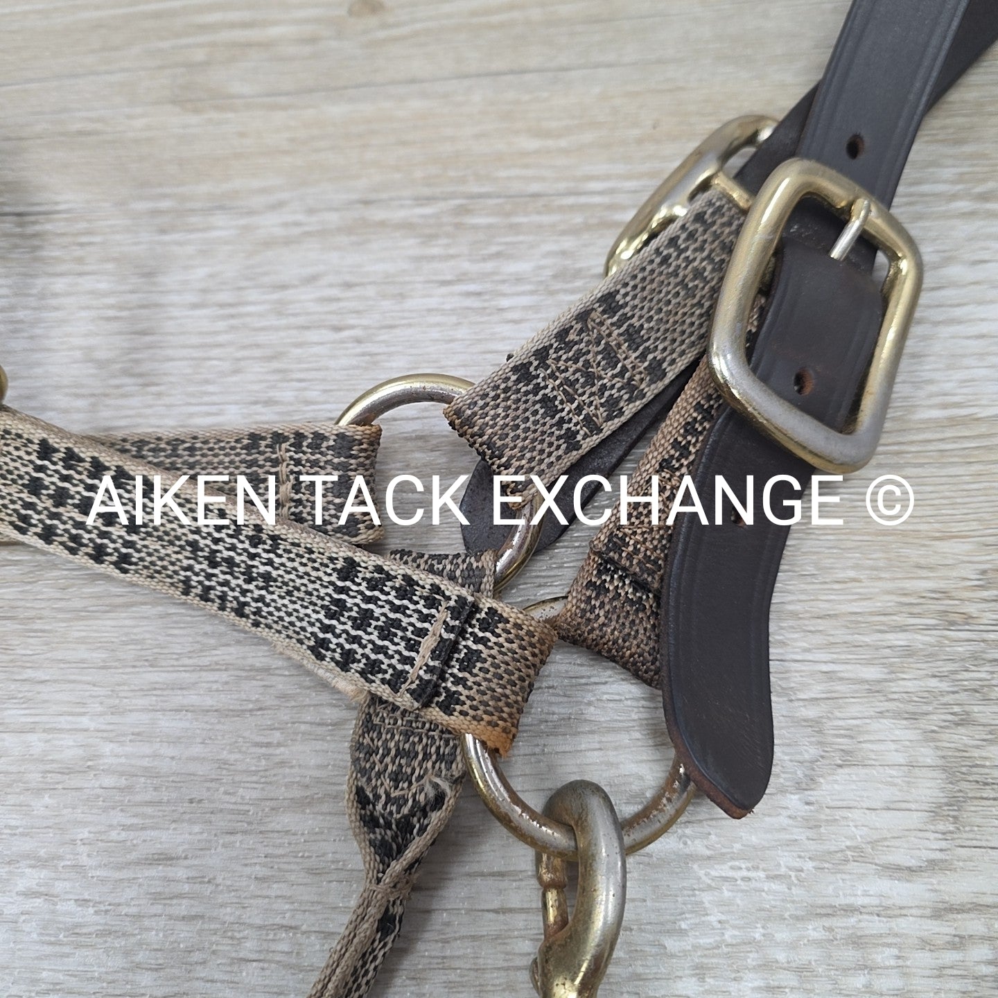 BARGAIN BUNDLE: 5/A Baker Halter & Lead with Chain, Size Pony