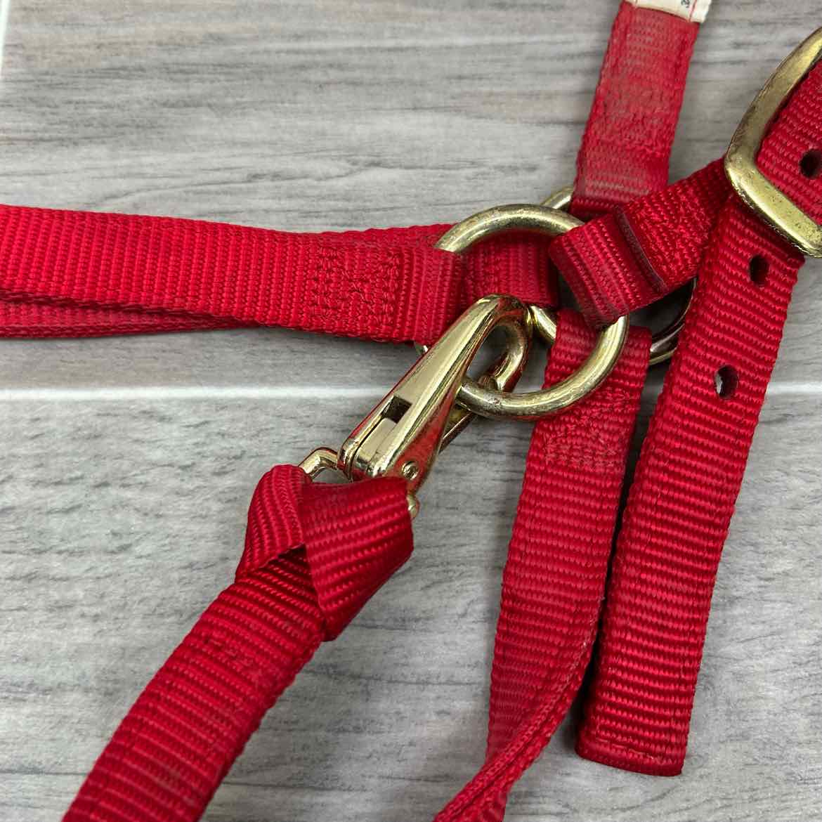 Weaver Leather Nylon Halter, Size Medium Arabian