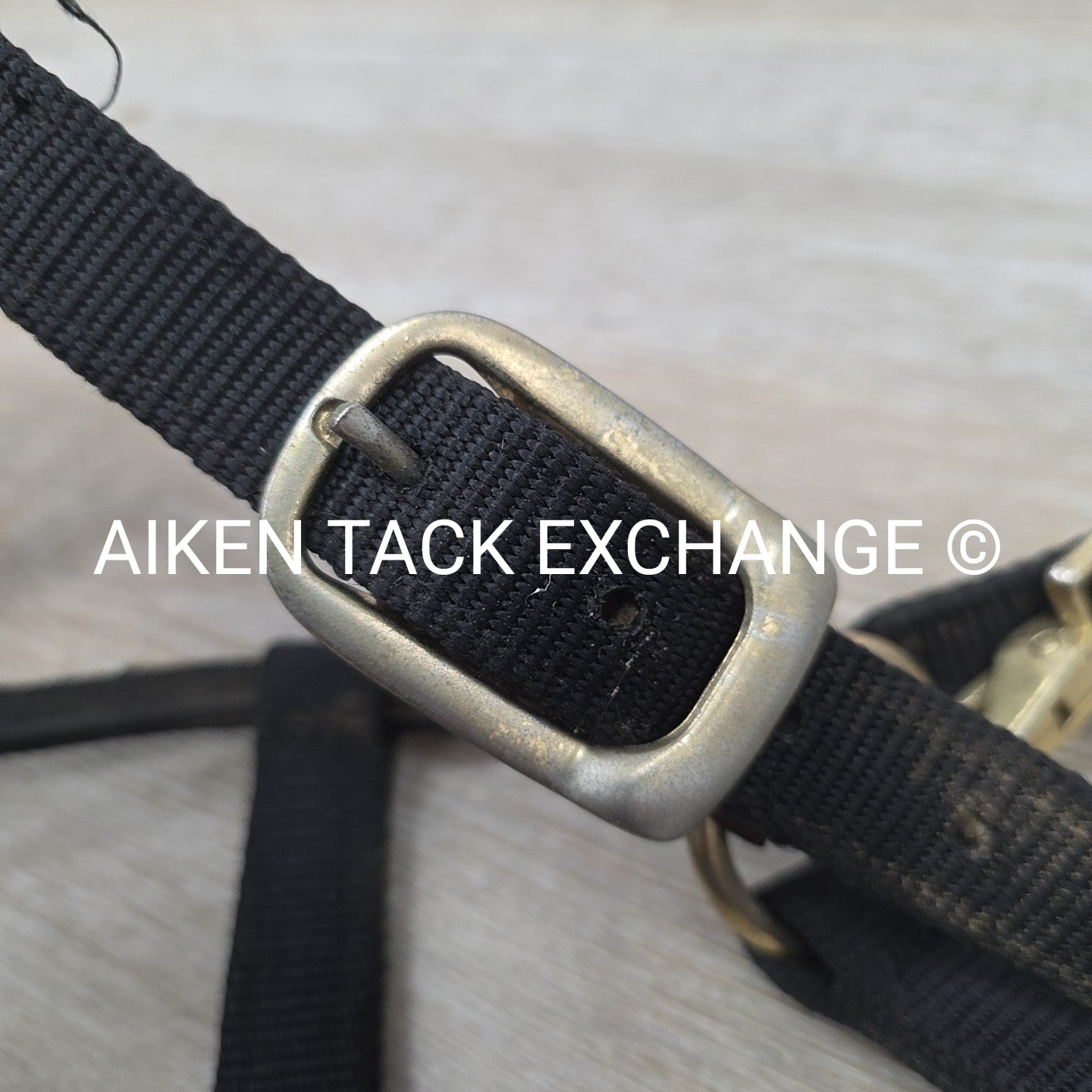 Shires Topaz Nylon Breakaway Halter, Cob