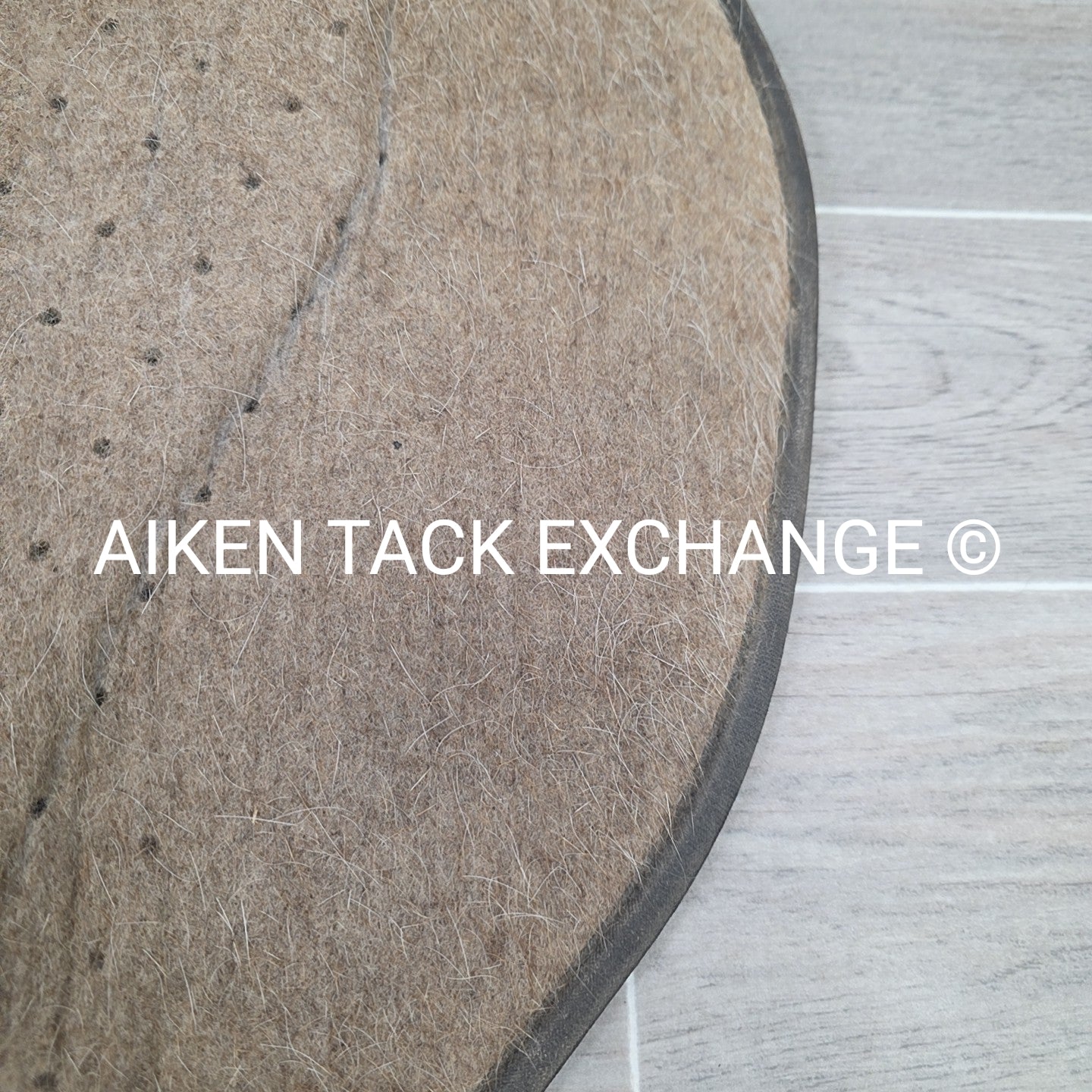 Tucker by Cavallo Saddle Pad