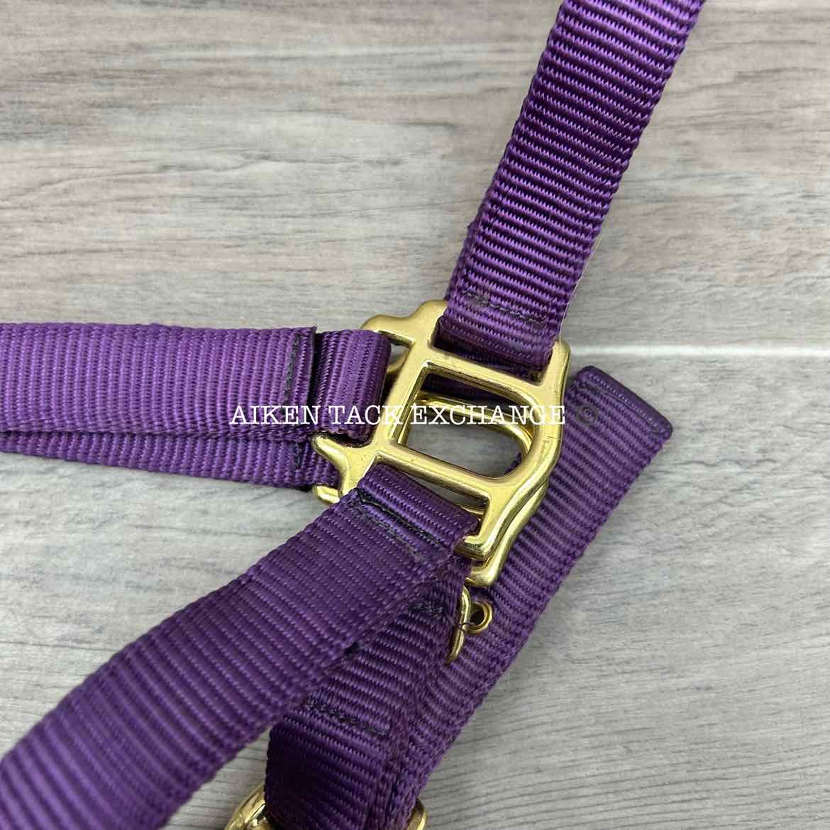 Dover Saddlery Heavy Nylon Halter, Oversize