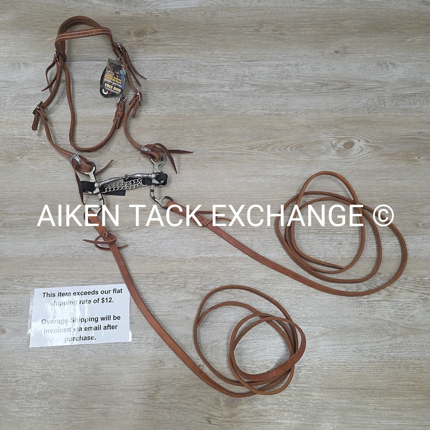 Weaver Leather Bridle with 5" Bit & Gene Lemmons Split Reins
