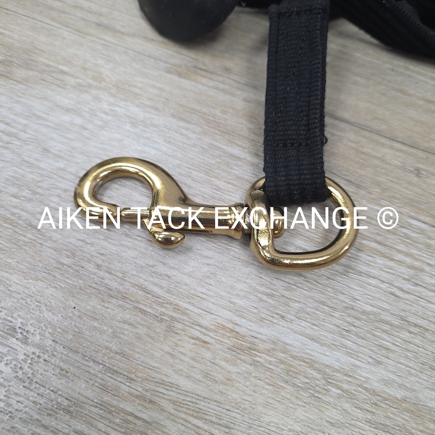 Flat Cotton Web Lunge Line