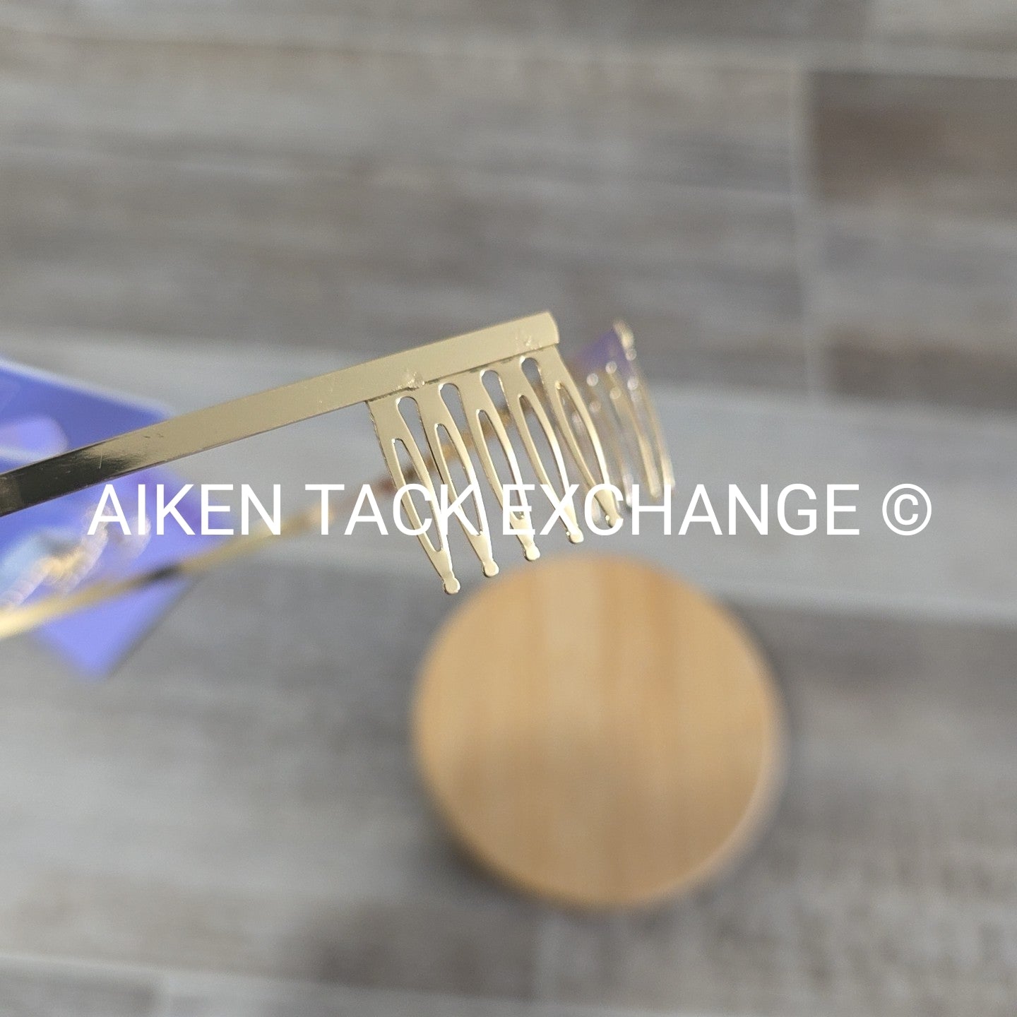 Claire's Tiara + Necklace