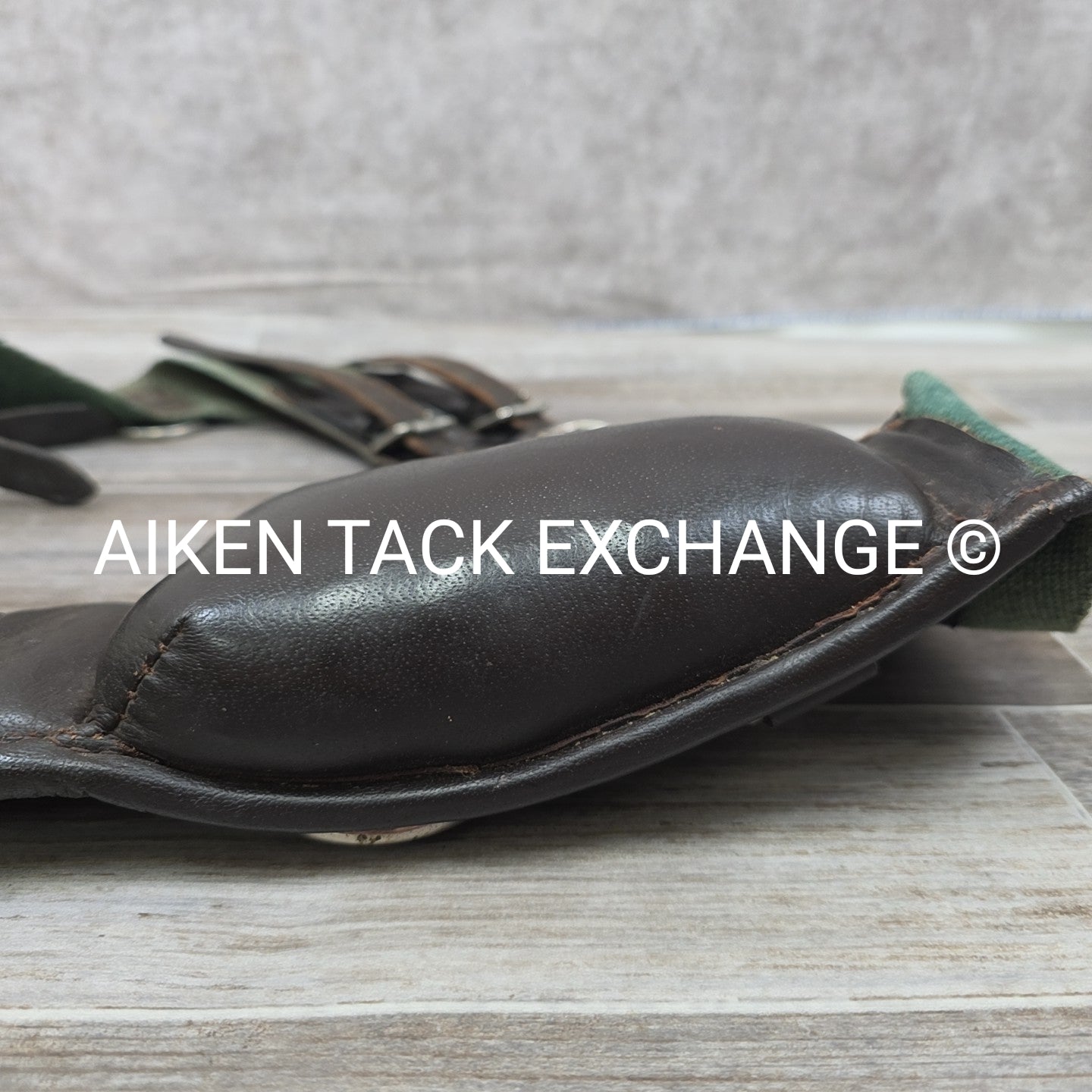 Dover Saddlery Classic Web Lunging Surcingle