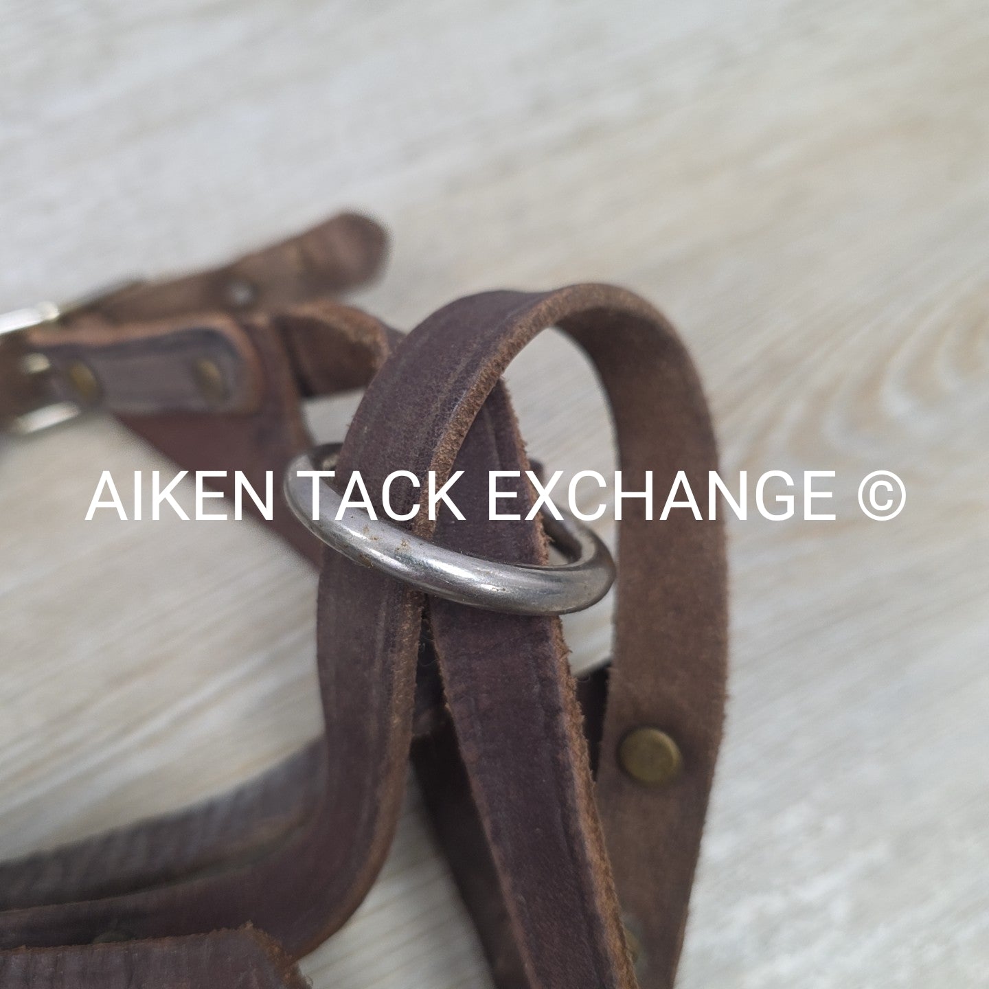 BARGAIN BUNDLE: 2 Leather Foal Halters