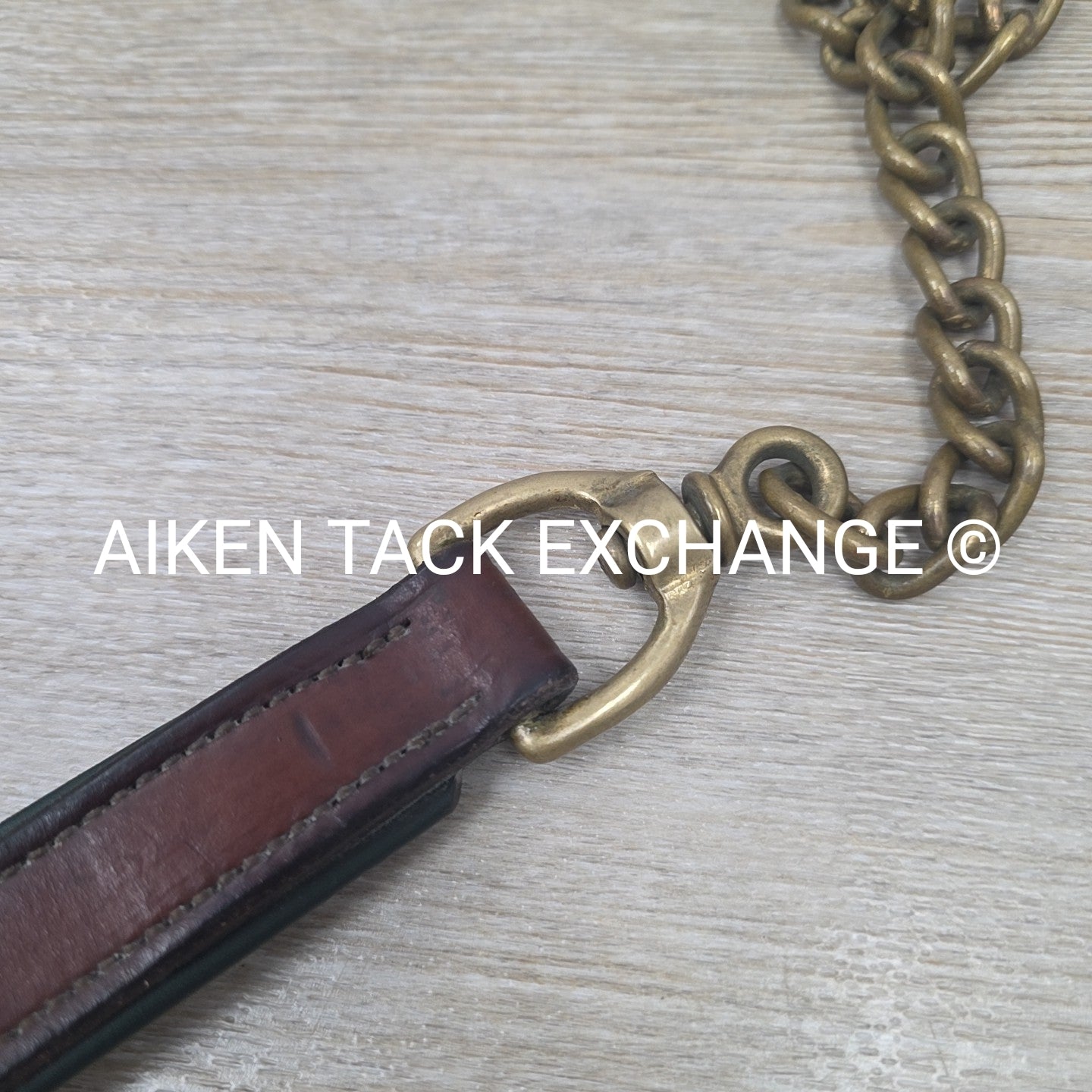 Tory Leather Padded Lead w/ Chain (has nameplate)