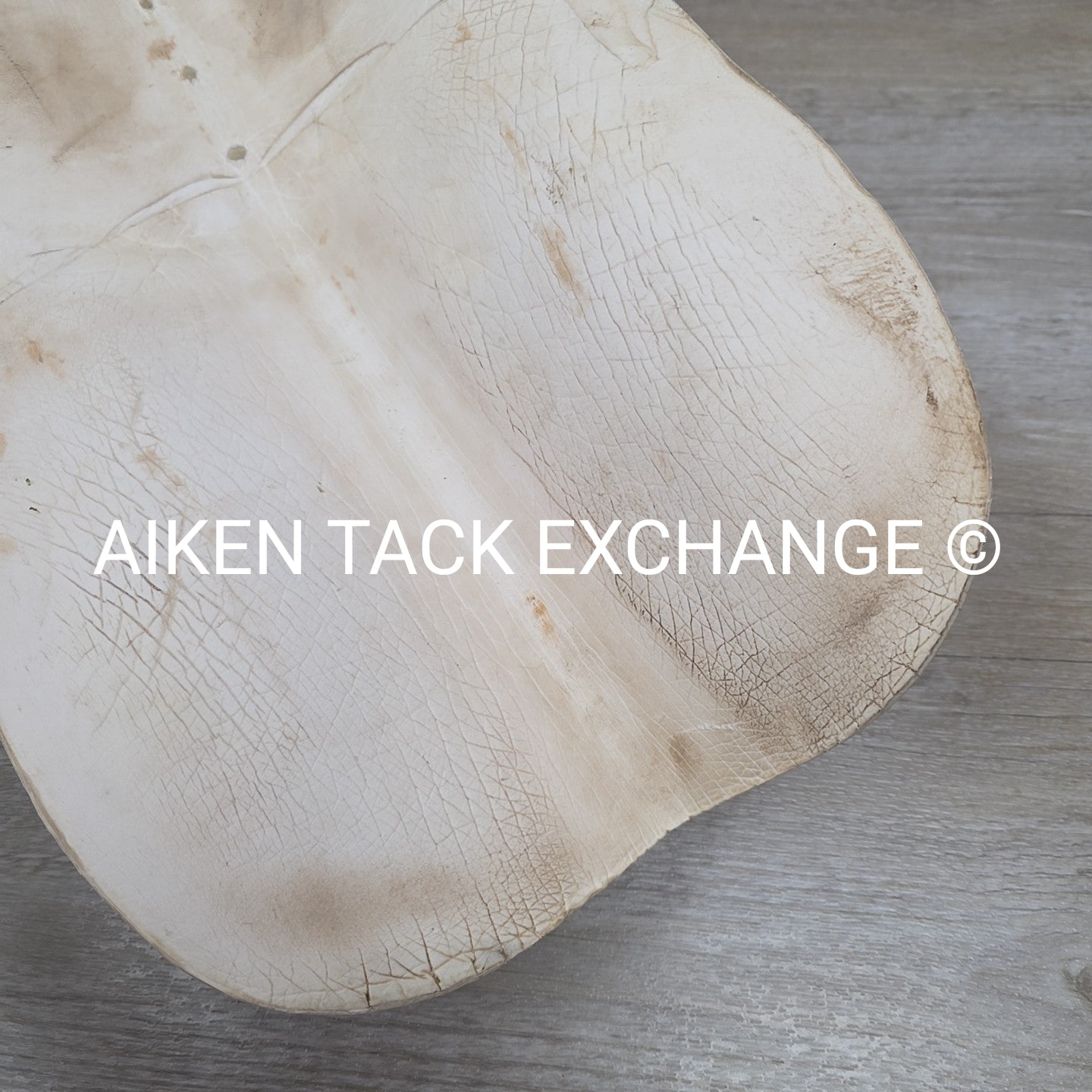 BARGAIN BUNDLE: Foam Half Pad, Foam Front Riser Half Pad, & Foam Rear Riser Half