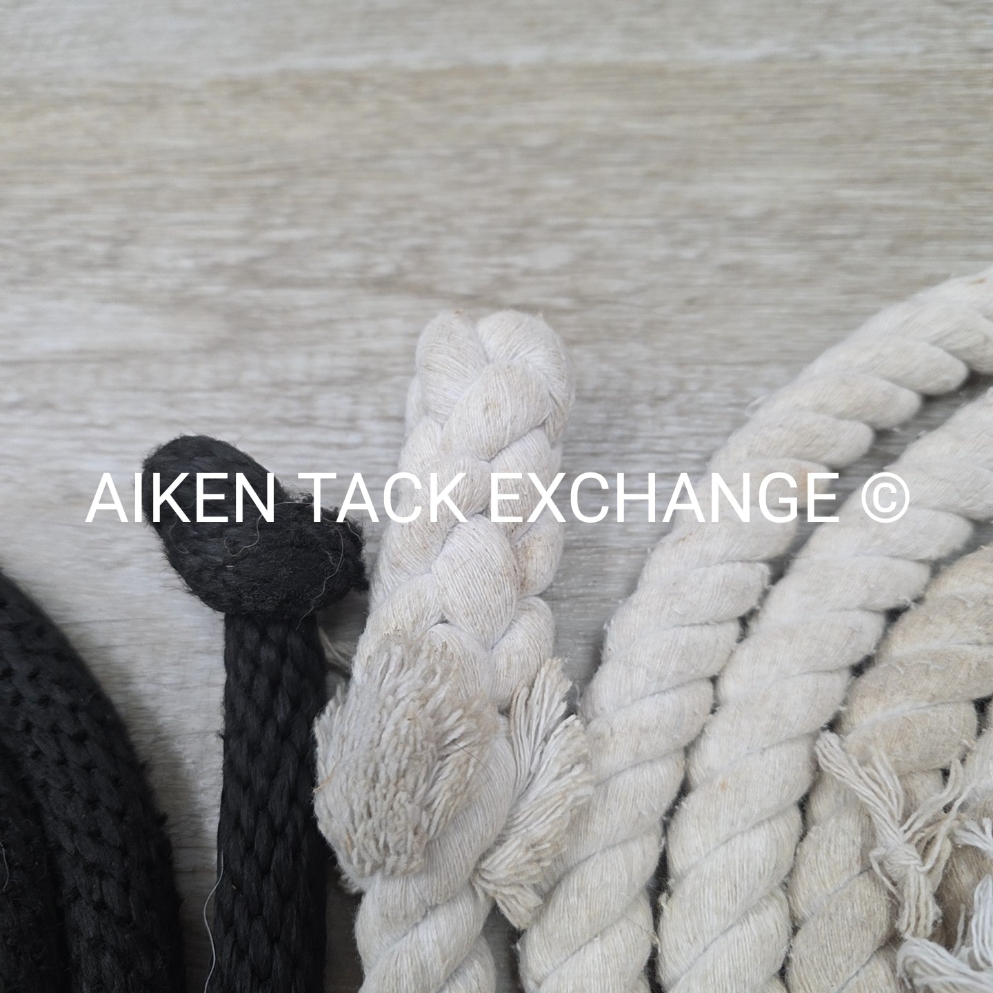 BARGAIN BUNDLE: 1 Fabtron Nylon Lead Rope w/ Chain, 1 Cotton Lead Rope w/ Chain